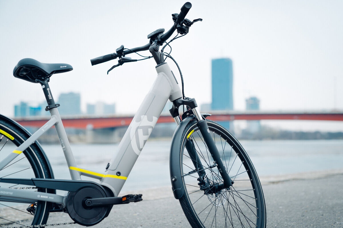 Husqvarna E-BICYCLES E-Bike »E-Citybike Towner 2«, 8 Gang, Shimano, Nexus, Mittelmotor 250 W, (28 Zoll, Bosch Motor, Rücktritt, Scheibenbremsen, mit Straßenzulassung), Pedelec, Elektrofahrrad für Herren u. Damen, tiefer Einstieg