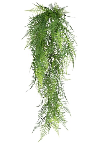 Creativ green Kunstranke »Hänger Asparagus plumosus«, (1 St.) kaufen