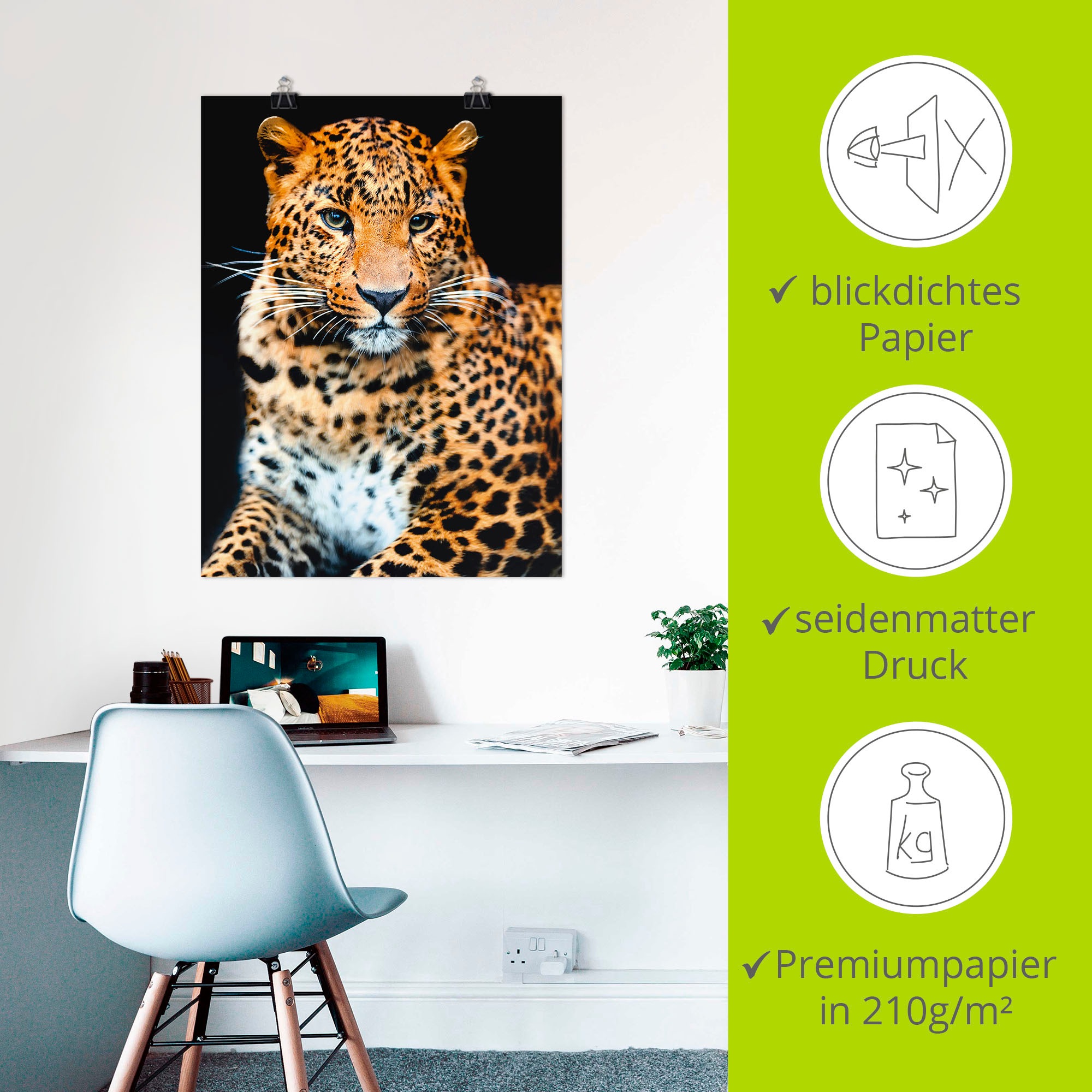 Artland Wandbild »Wütender wilder Leopard«, Wildtiere, (1 St.), als Alubild, Outdoorbild, Leinwandbild, Poster, Wandaufkleber
