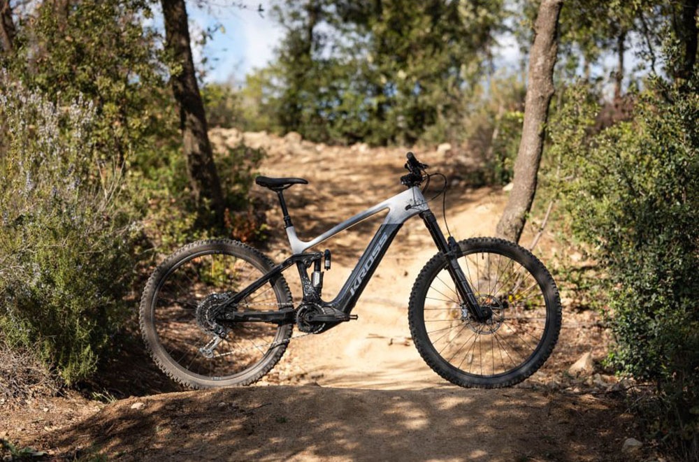 Kross E-Bike »KROSS E-MTB Moon Boost 1.0 29" grau«, 12 Gang, SRAM, GX EAGLE, Mittelmotor 250 W