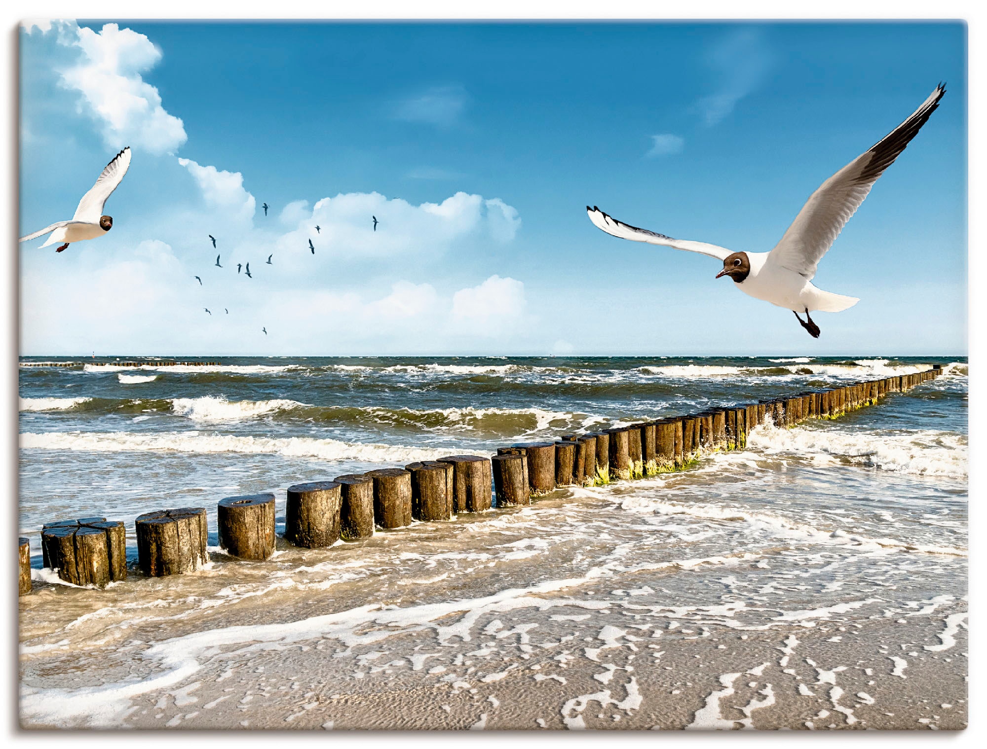 Artland Wandbild "Ostsee", Gewässer, (1 St.), als Leinwandbild, Poster, Wan günstig online kaufen