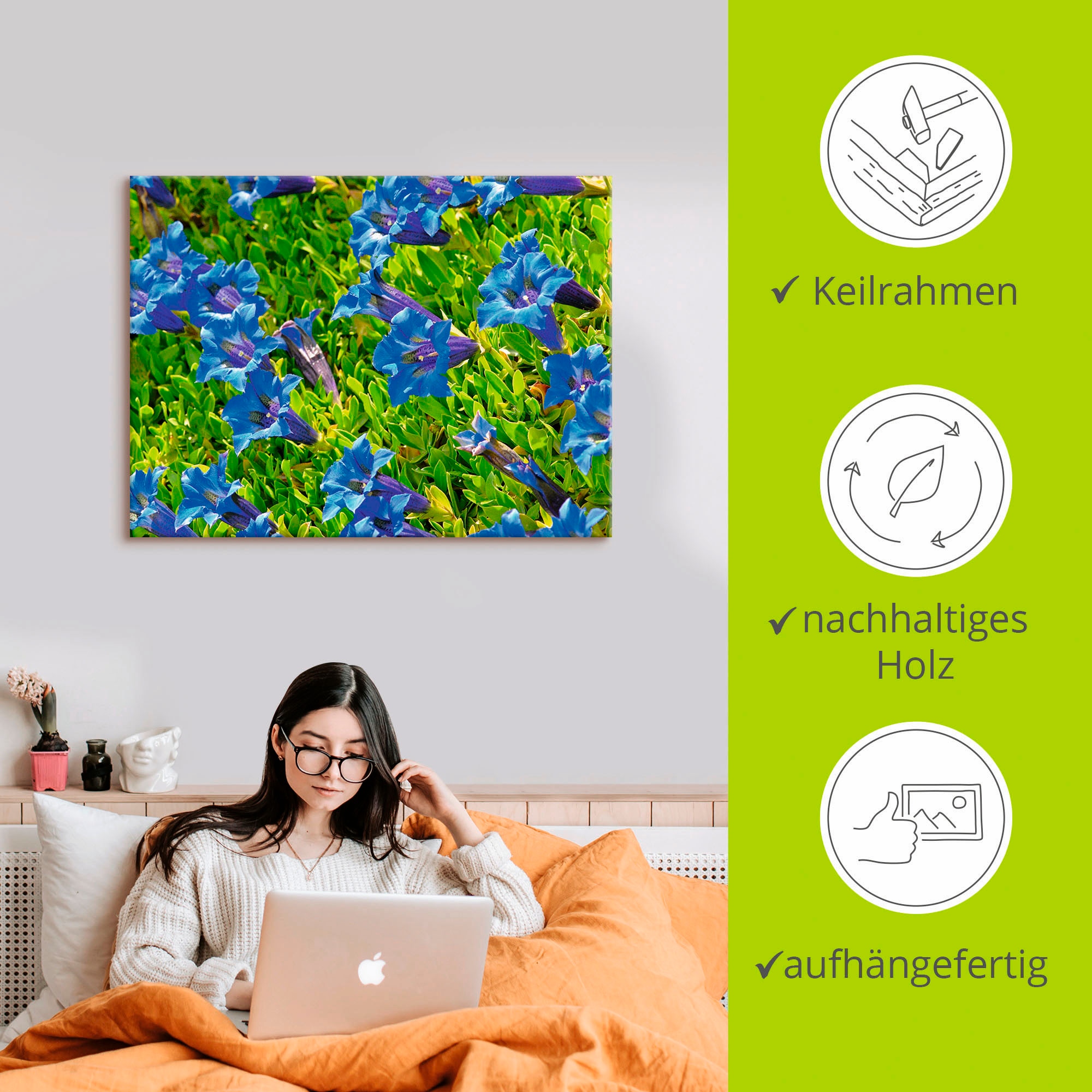 Artland Wandbild »Enzian« Blumenwiese 1 Stk. tlg. als Leinwandbild, Poster in verschied. Größen