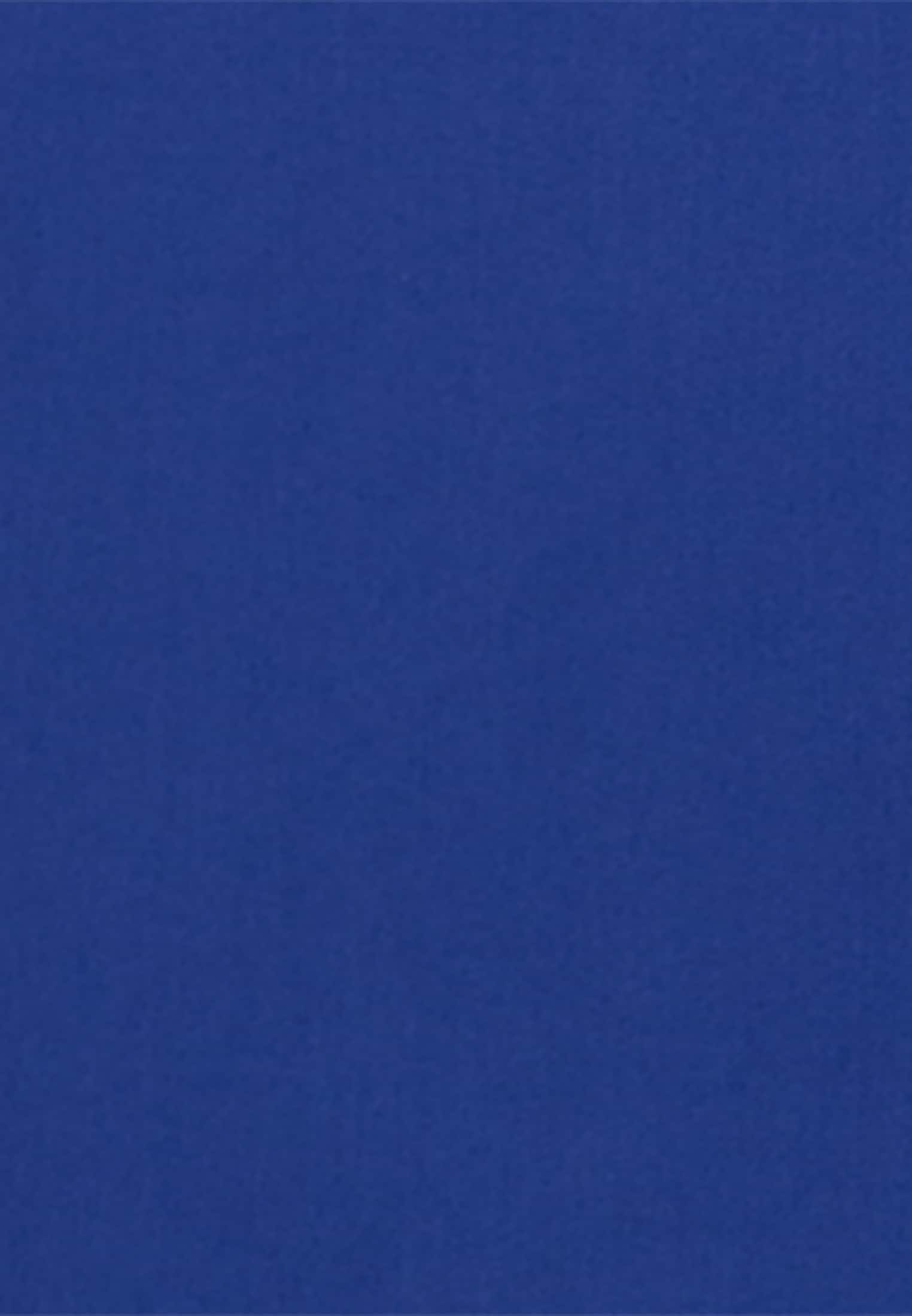 seidensticker Sommerkleid »Schwarze Rose«, Langarm Kragen Uni