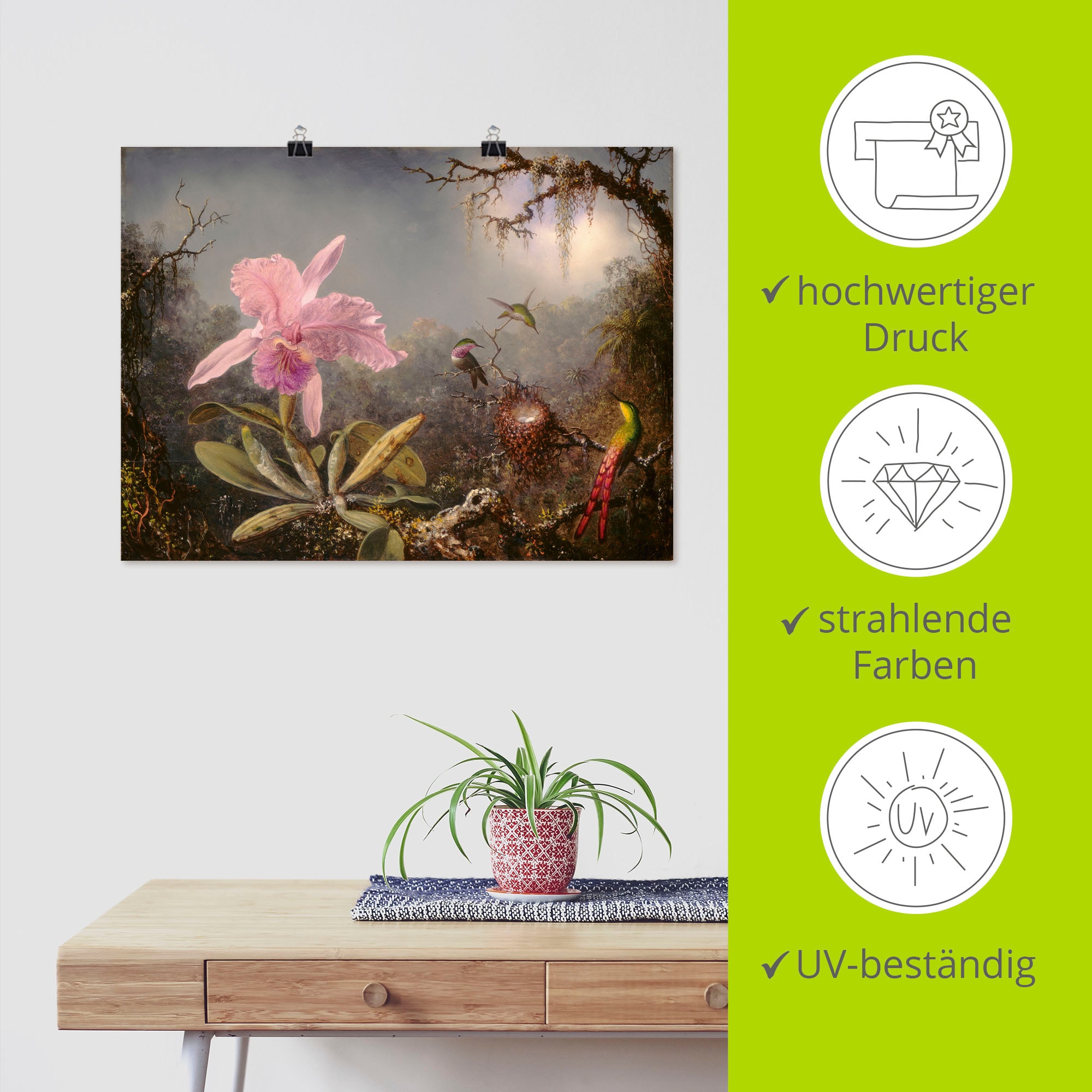 Artland Wandbild »Cattleya Orchidee und drei Kolibris.«, Blumenbilder, (1 St.), als Leinwandbild, Poster in verschied. Größen