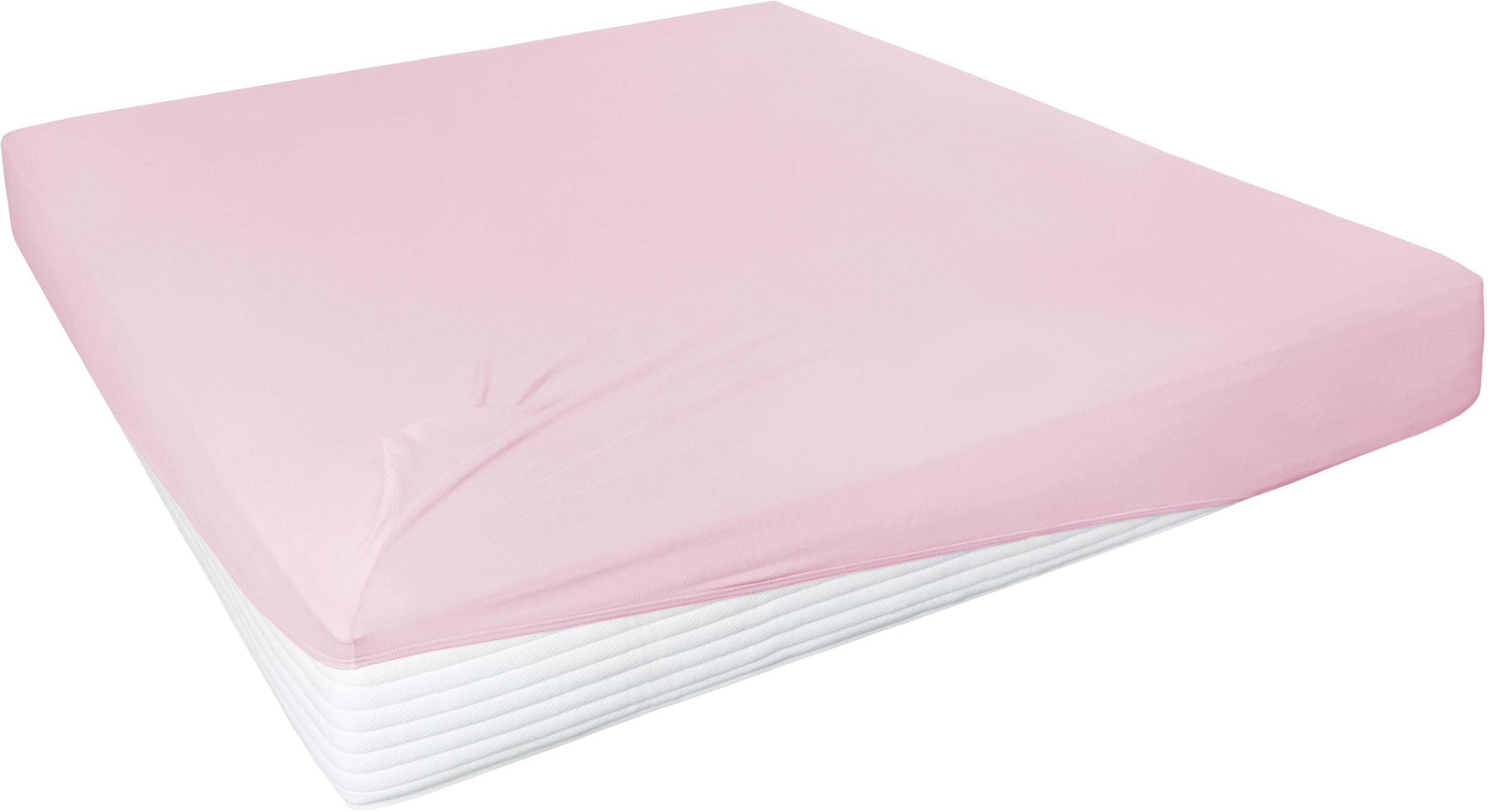 Primera Spannbettlaken "Elasthan-Feinjersey" PREMIUM, aus 95% gekämmter Bau günstig online kaufen