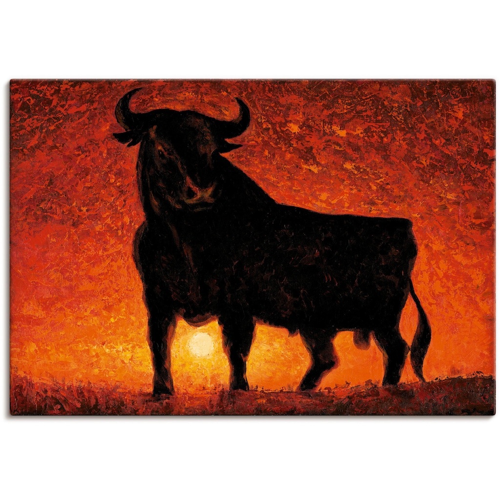 Artland Leinwandbild »Andalusischer Stier«, Wildtiere, (1 St.)