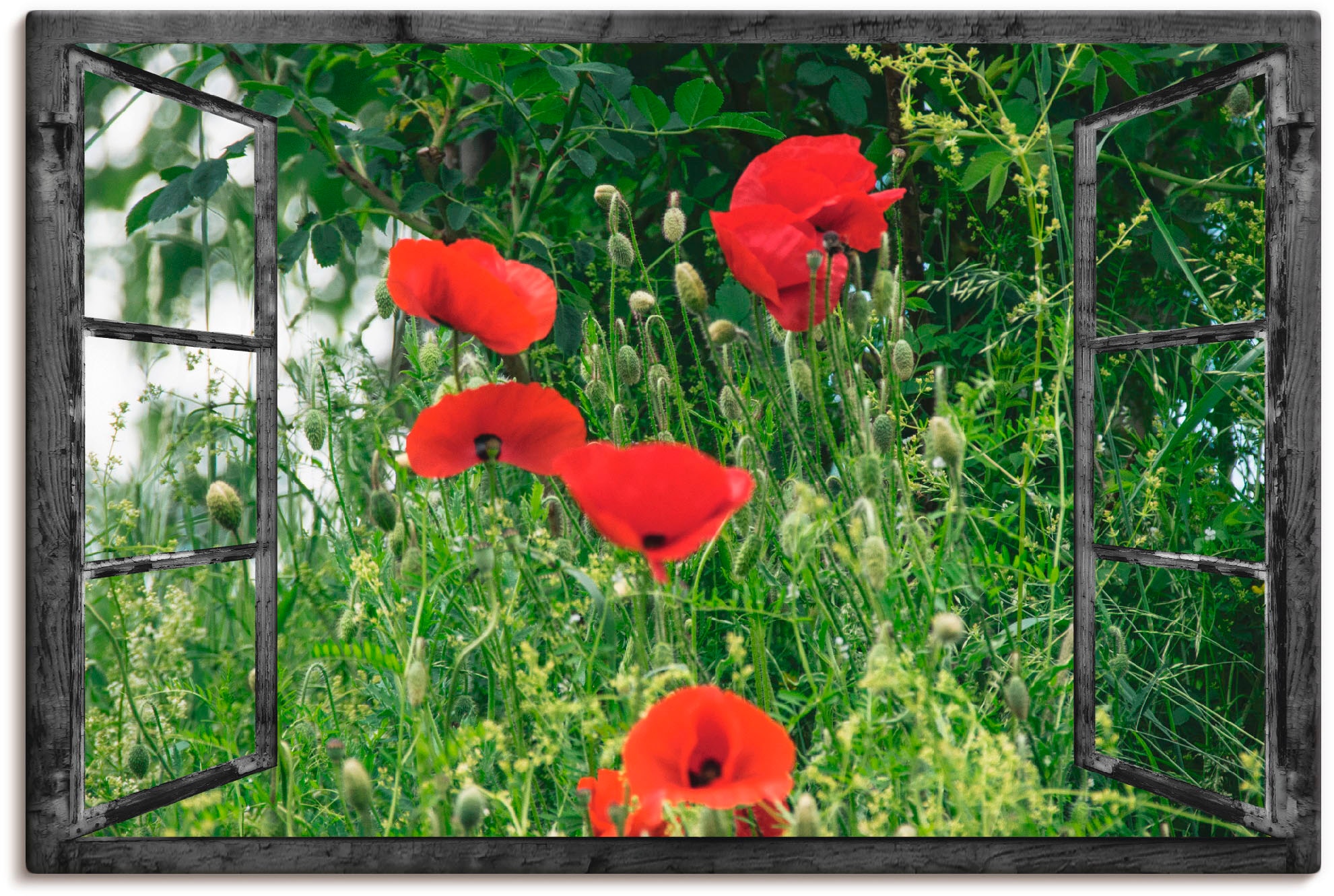 Artland Wandbild "Fensterblick - Klatschmohn", Fensterblick, (1 St.), als A günstig online kaufen