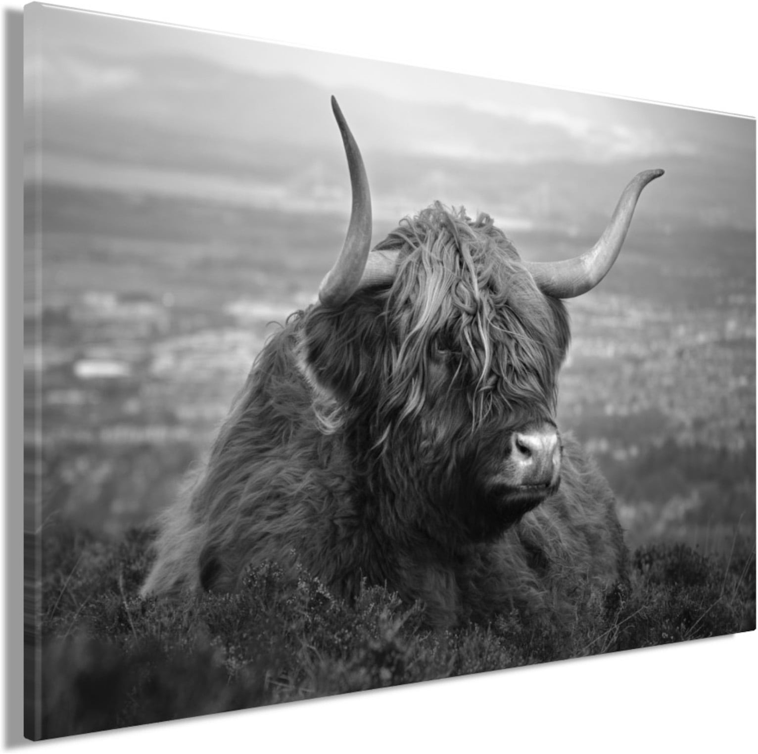 Bönninghoff Bild »HOCHLANDRIND AM SEE 60x90 cm – Leinwandbild Keilrahmen Deko modern«