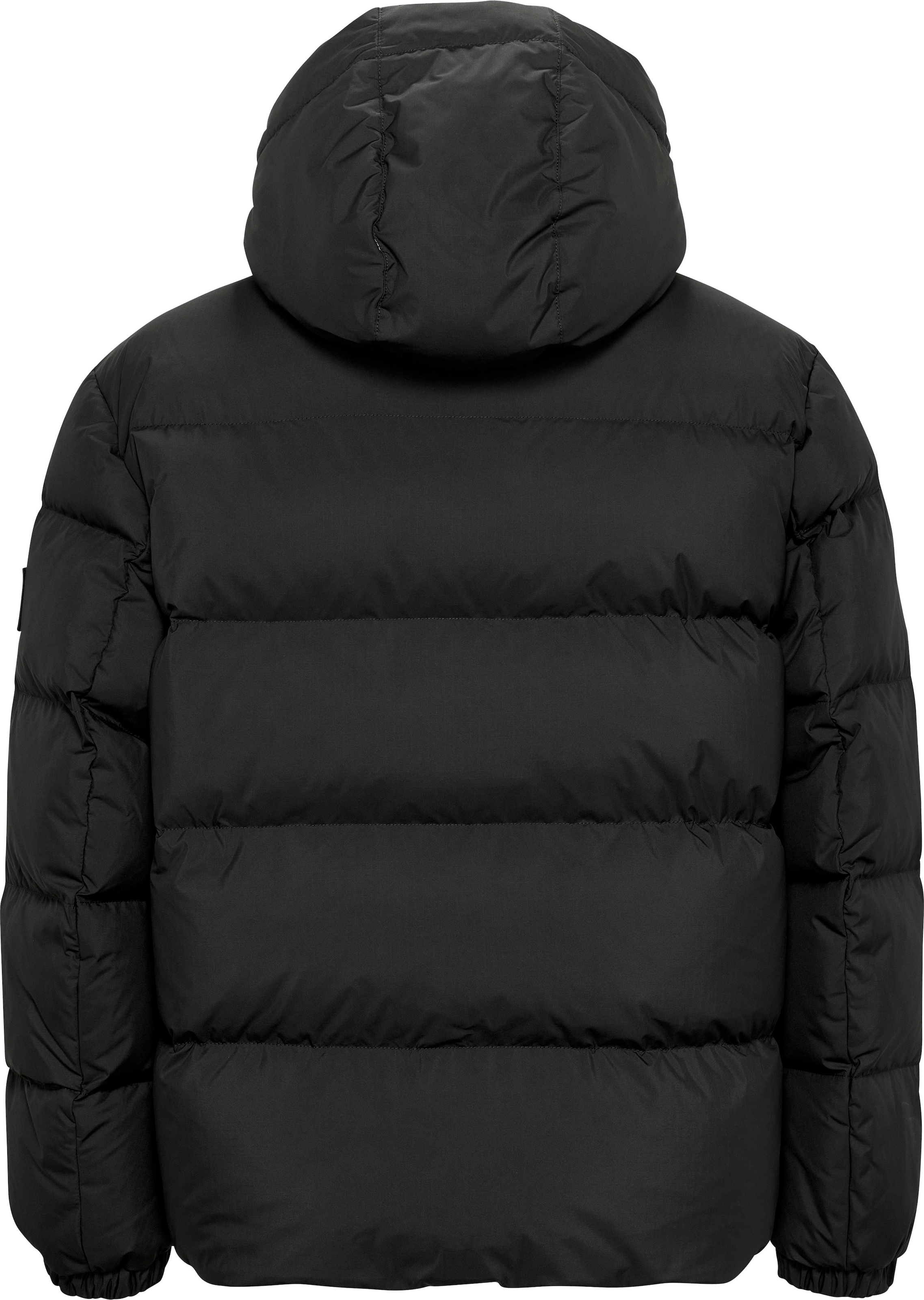 Tommy Jeans Steppjacke »TJM ESSENTIAL DOWN JACKET EXT«, mit Kapuze, Daunenjacke, Übergangsjacke Winterjacke Outdoorjacke Gefüttert