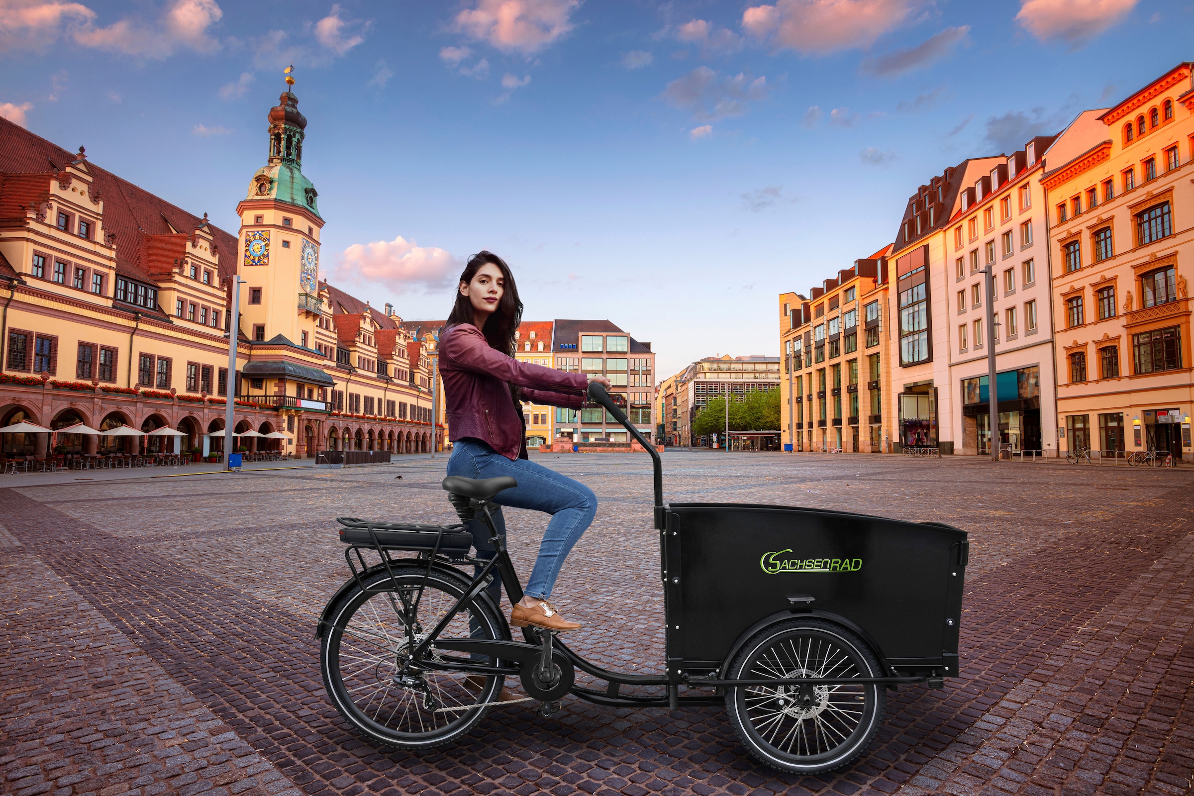 SachsenRad »T1« 7 Gang Shimano Shimano 7-Gang-Kettenschaltung Schaltwerk Kettenschaltung Heckmotor 250 W Alarmanlage, Holz-Transportbox, Mitgelieferte Regenabdeckung