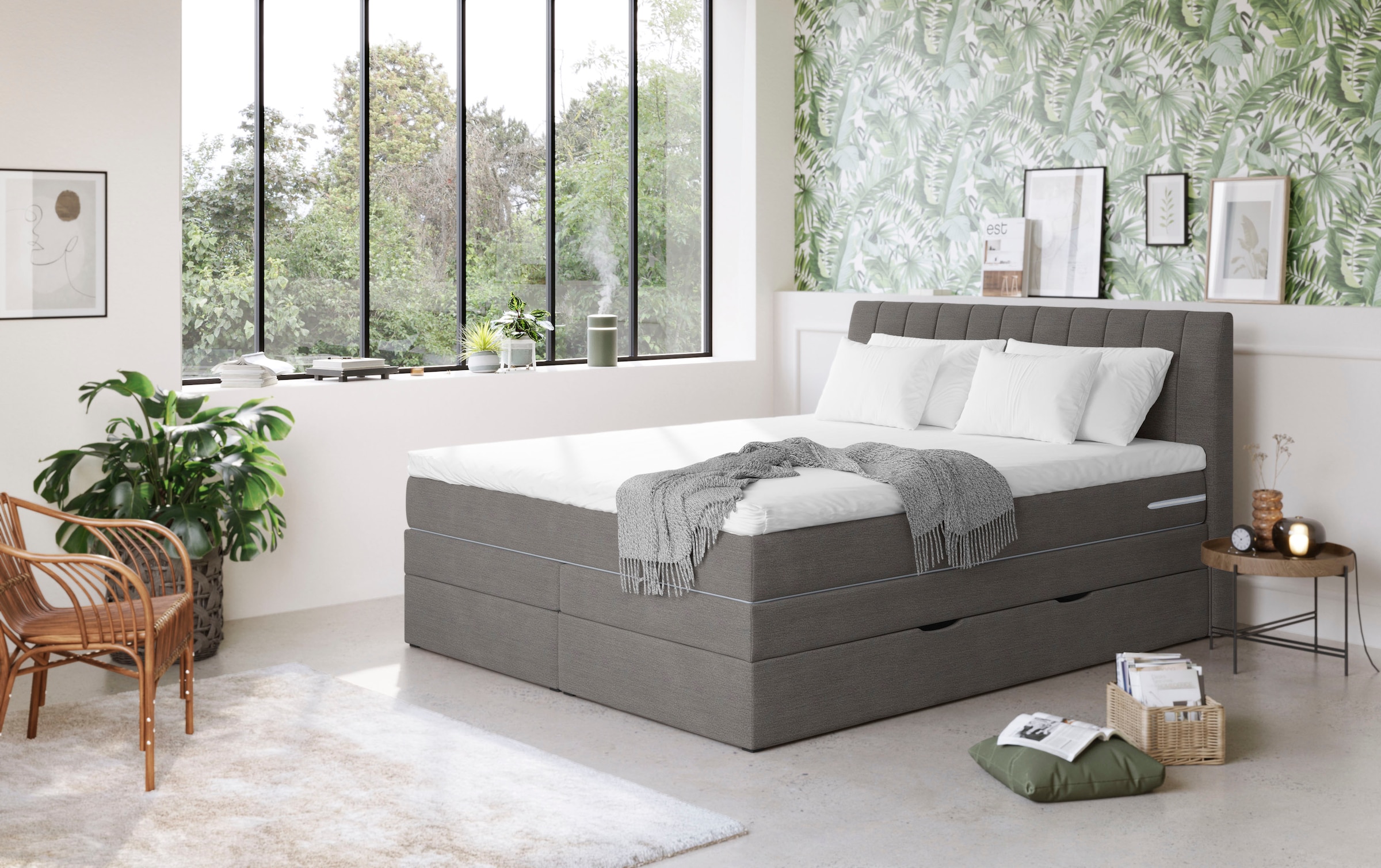 COTTA Boxspringbett »Shark inkl. Bettkasten und Topper«, erhältlich in den günstig online kaufen