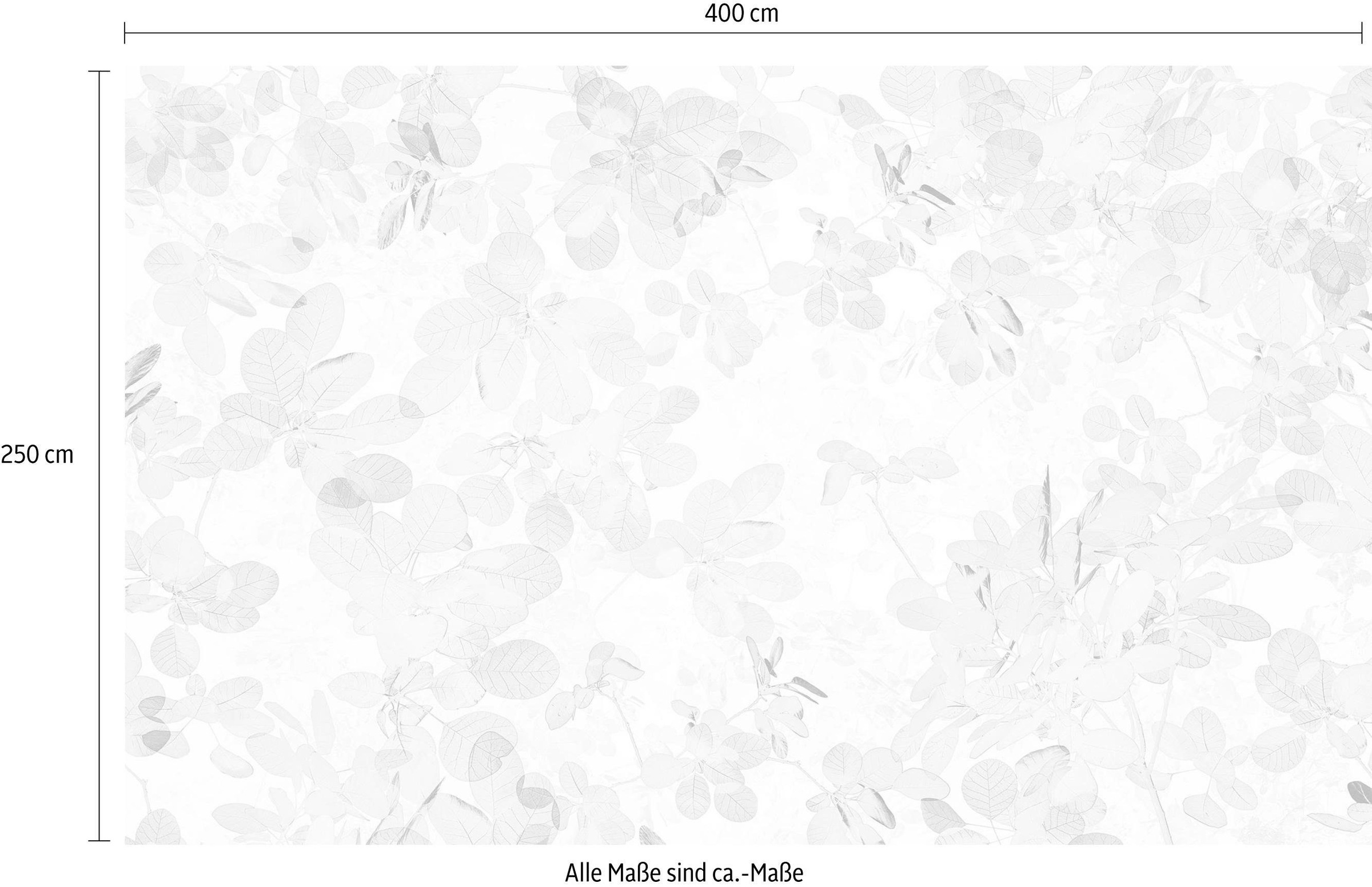 Komar Vliestapete »Digitaldruck Vlies - Sheer - Größe 400 x 250 cm«, bedruckt, Wohnzimmer, Schlafzimmer