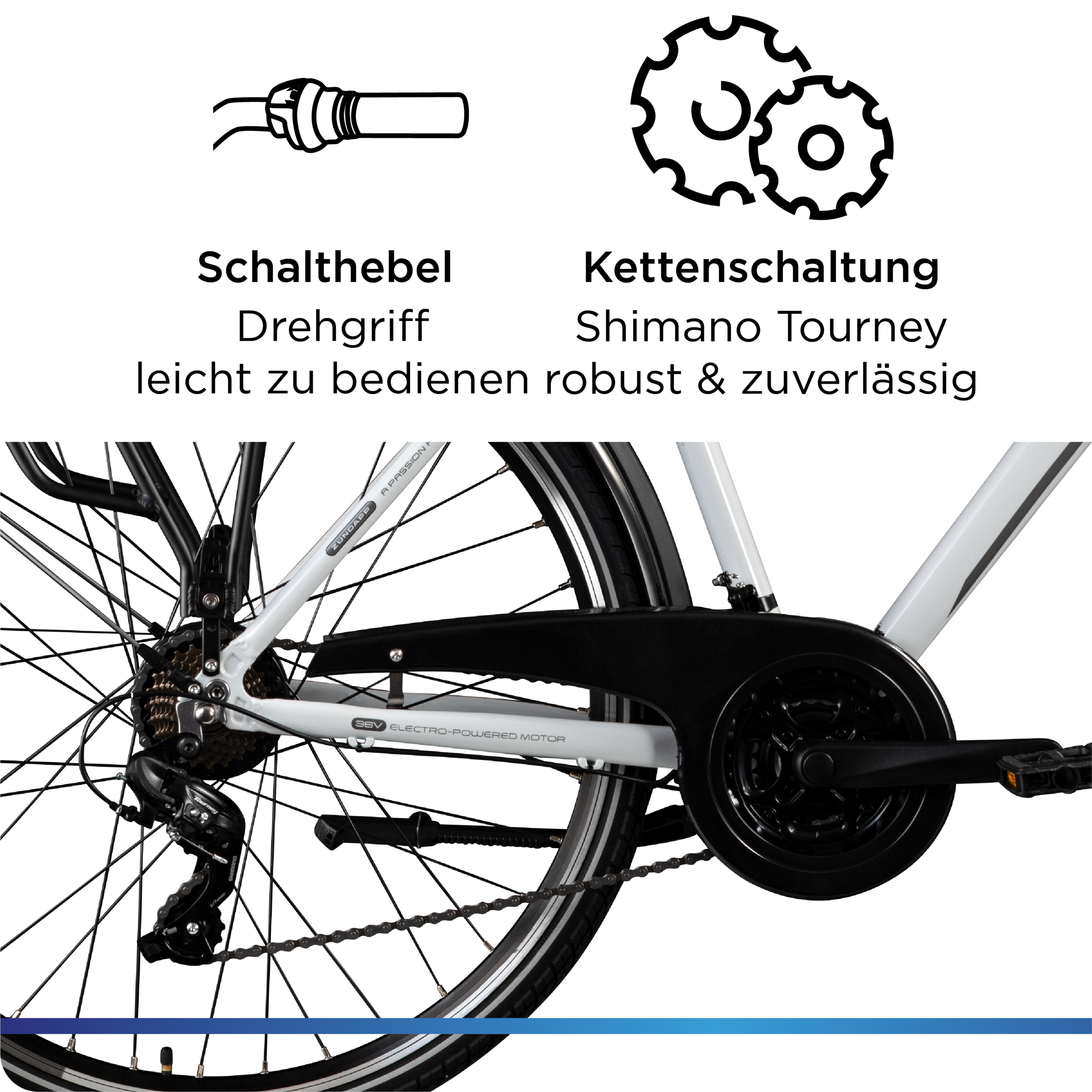 Zündapp »Z802 Herren« 21 Gang Shimano Tourney Schaltwerk Kettenschaltung Heckmotor 250 W Pedelec, Elektrofahrrad für Damen u. Herren
