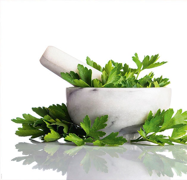 Express Küchen Küchenrückwand »Kräuter«