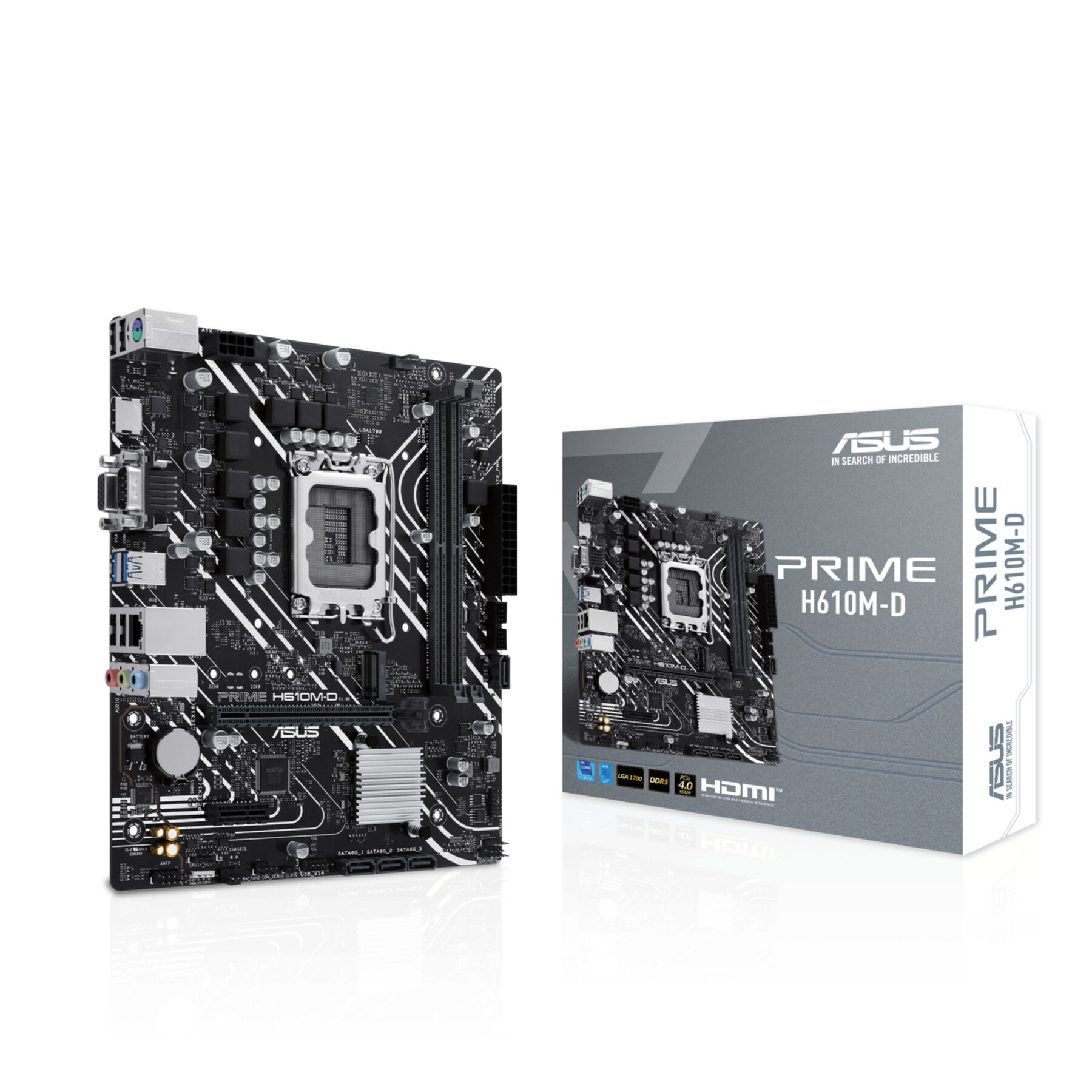 Asus Mainboard »PRIME H610M-D«