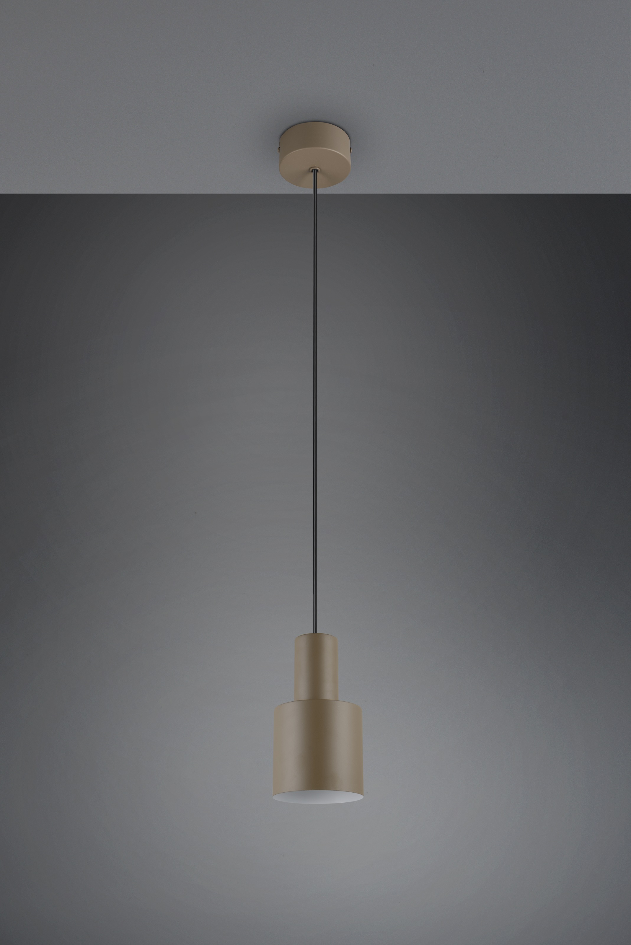 TRIO Leuchten Pendelleuchte »AGUDO, Hängelampe 1-flammig, exkl 1xE27 max 10W, höhenverstellbar«, 1 flammig, Leuchtmittel E27 | Leuchtmittel wechselbar, Hängelampe Ø 12cm, bis max 150cm Abhängung, Küche Esszimmer Wohnzimmer