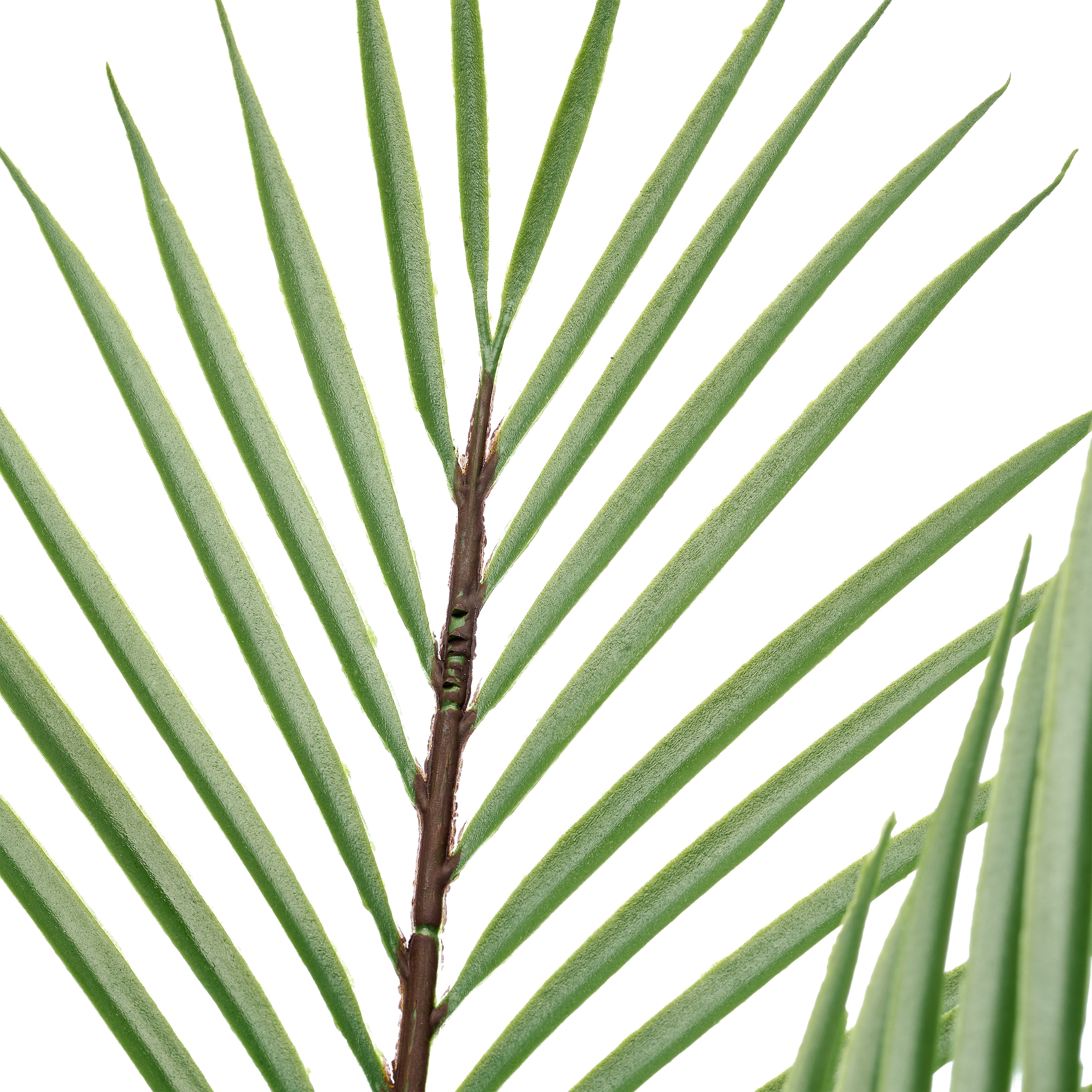 Creativ green Kunstpalme »Phönixpalme« mit naturgetreuen Palmwedeln