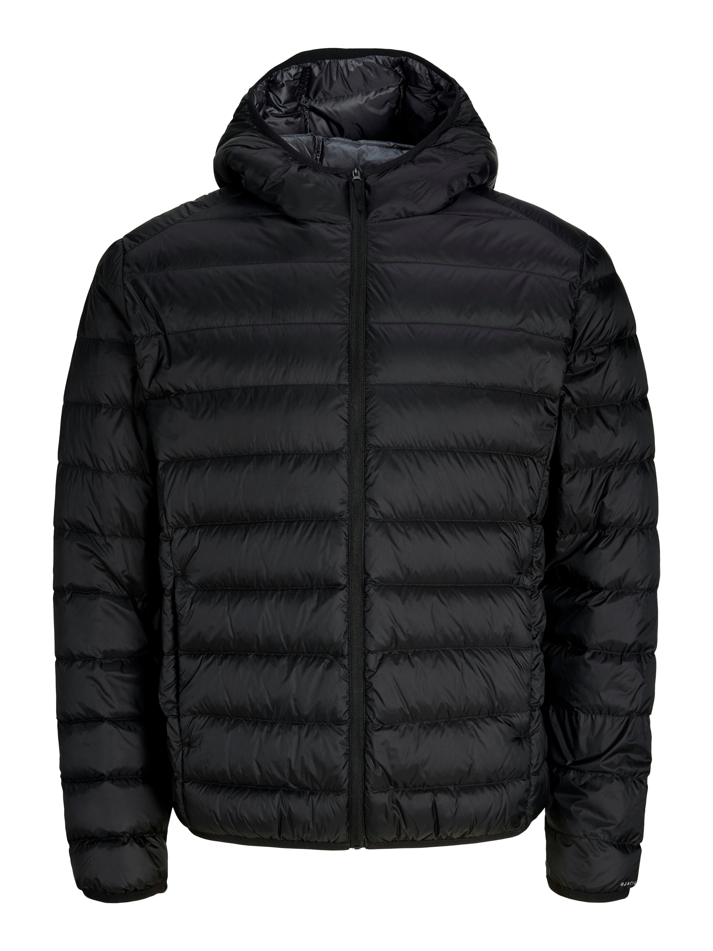Jack & Jones Steppjacke »JJEBERG LIGHT DOWN PUFFER HOOD NOOS« mit Kapuze Kunstfaser, normal geschnitten