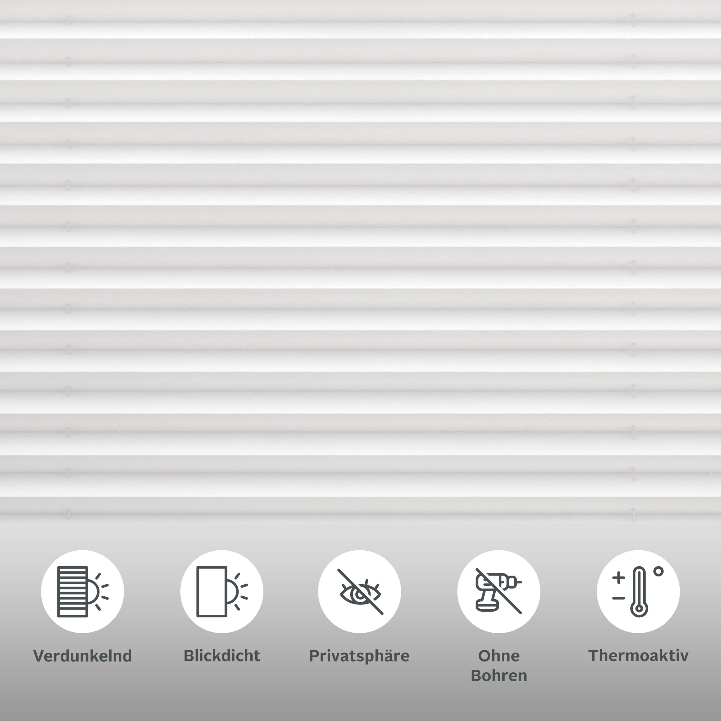my home Plissee »Marei Thermo«, verdunkelnd, Perlreflex-beschichtet-energiesparend, ohne Bohren, verspannt, Befestigung mit Klemmträgern, Easyfix, Rückseite mit Beschichtung