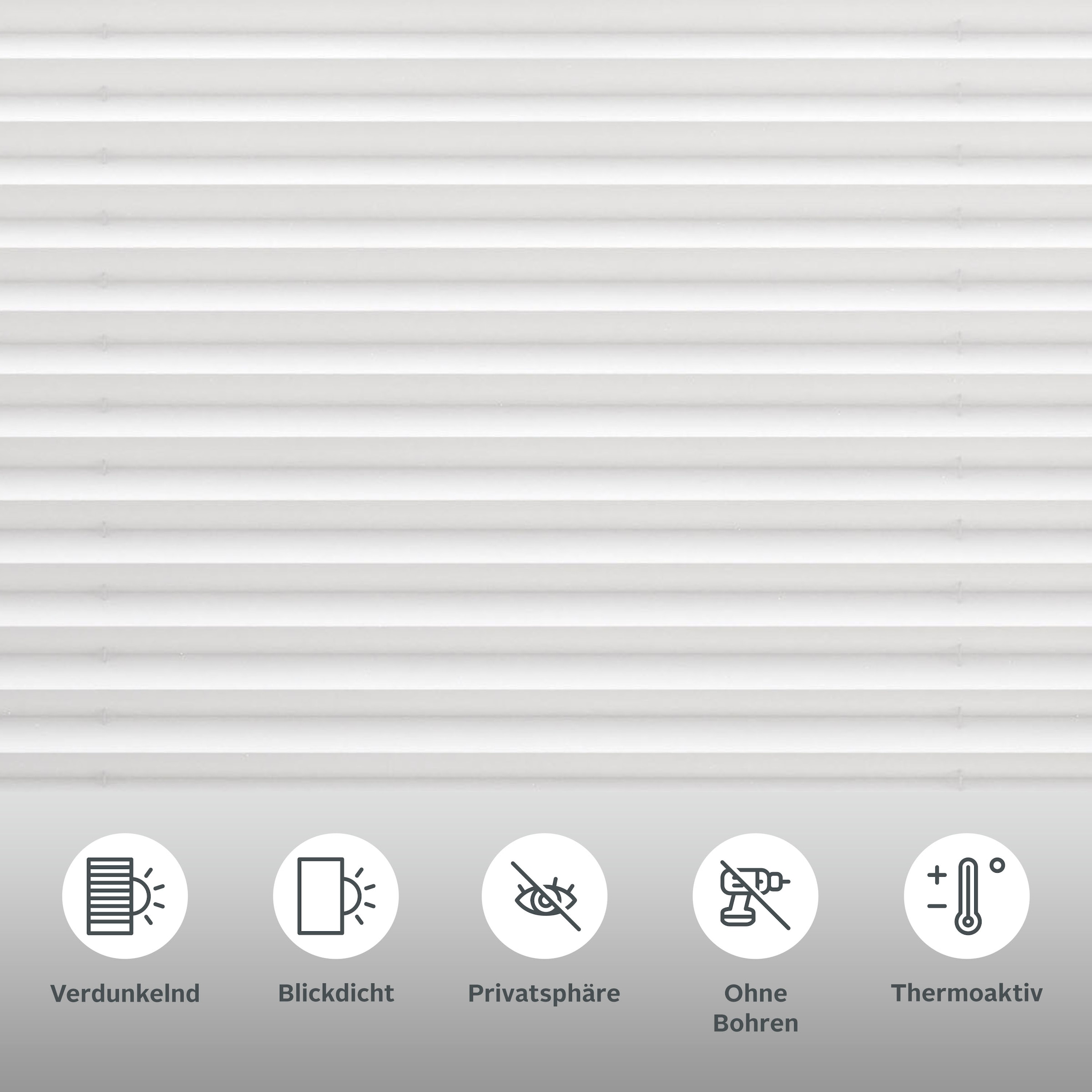 my home Plissee »Marei Thermo«, verdunkelnd, Perlreflex-beschichtet-energie günstig online kaufen