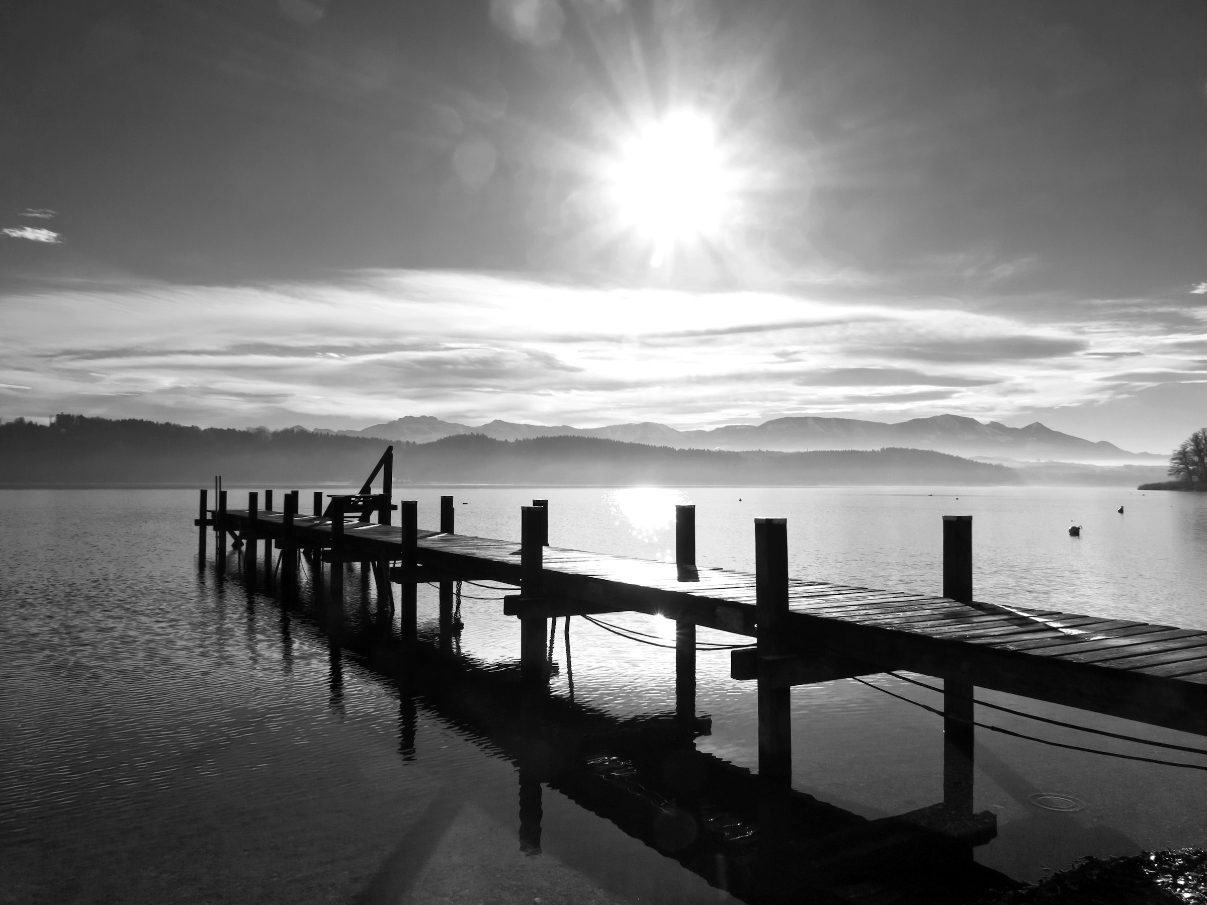 Papermoon Fototapete »Landschaft Schwarz & Weiß« günstig online kaufen