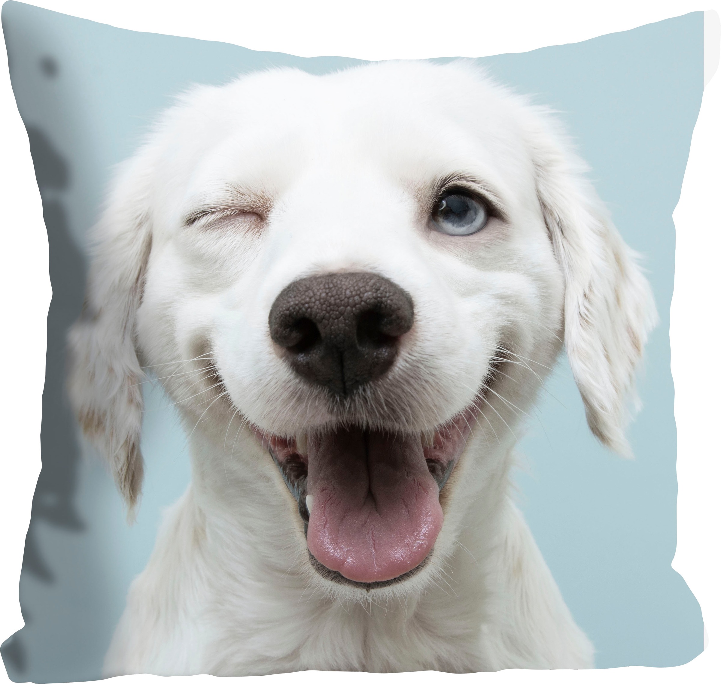 queence Dekokissen »Crazy Dog«, mit einem zwinkernden Hund, Kissenhülle ohn günstig online kaufen