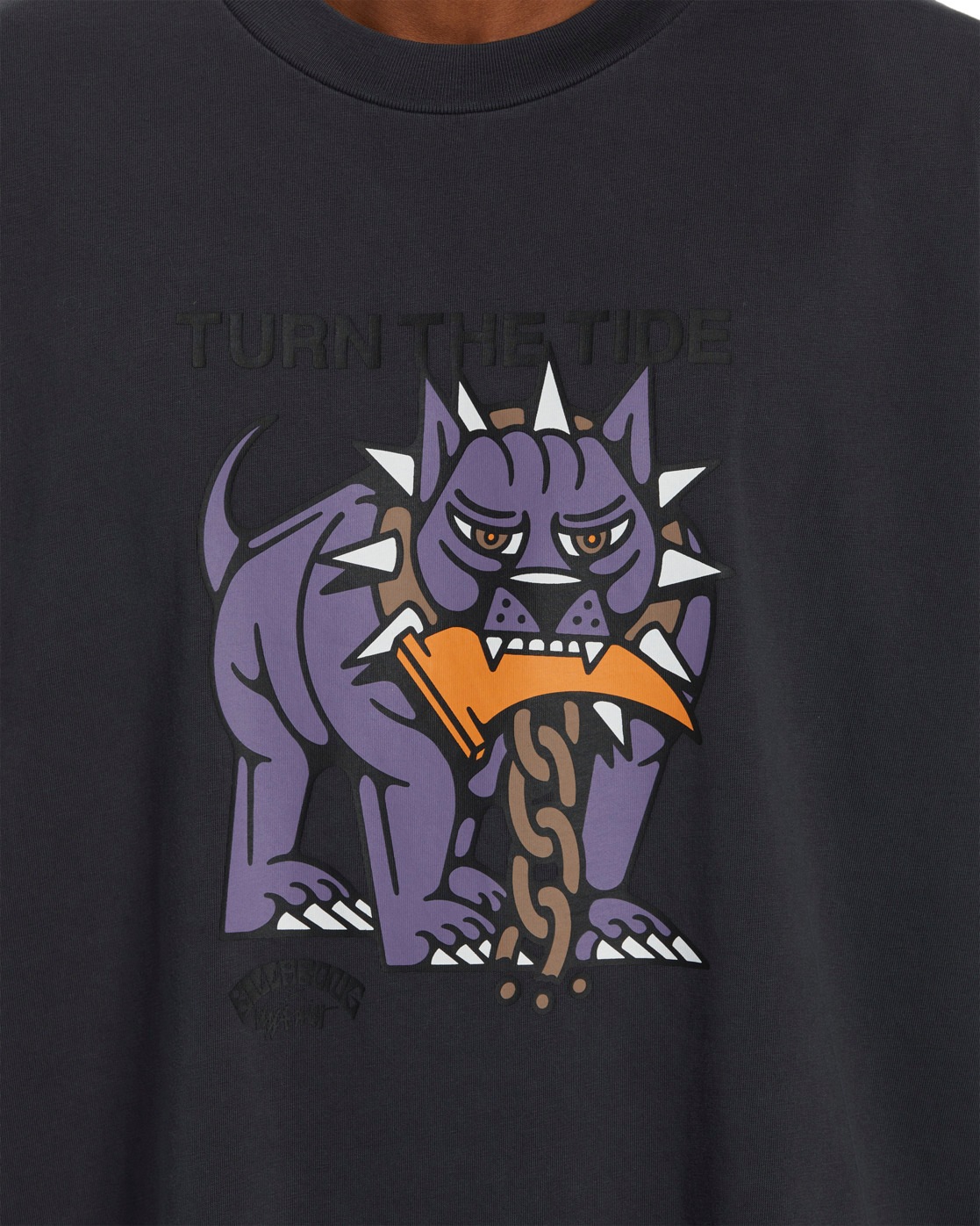Billabong T-Shirt »DJ Javier Dog Days«