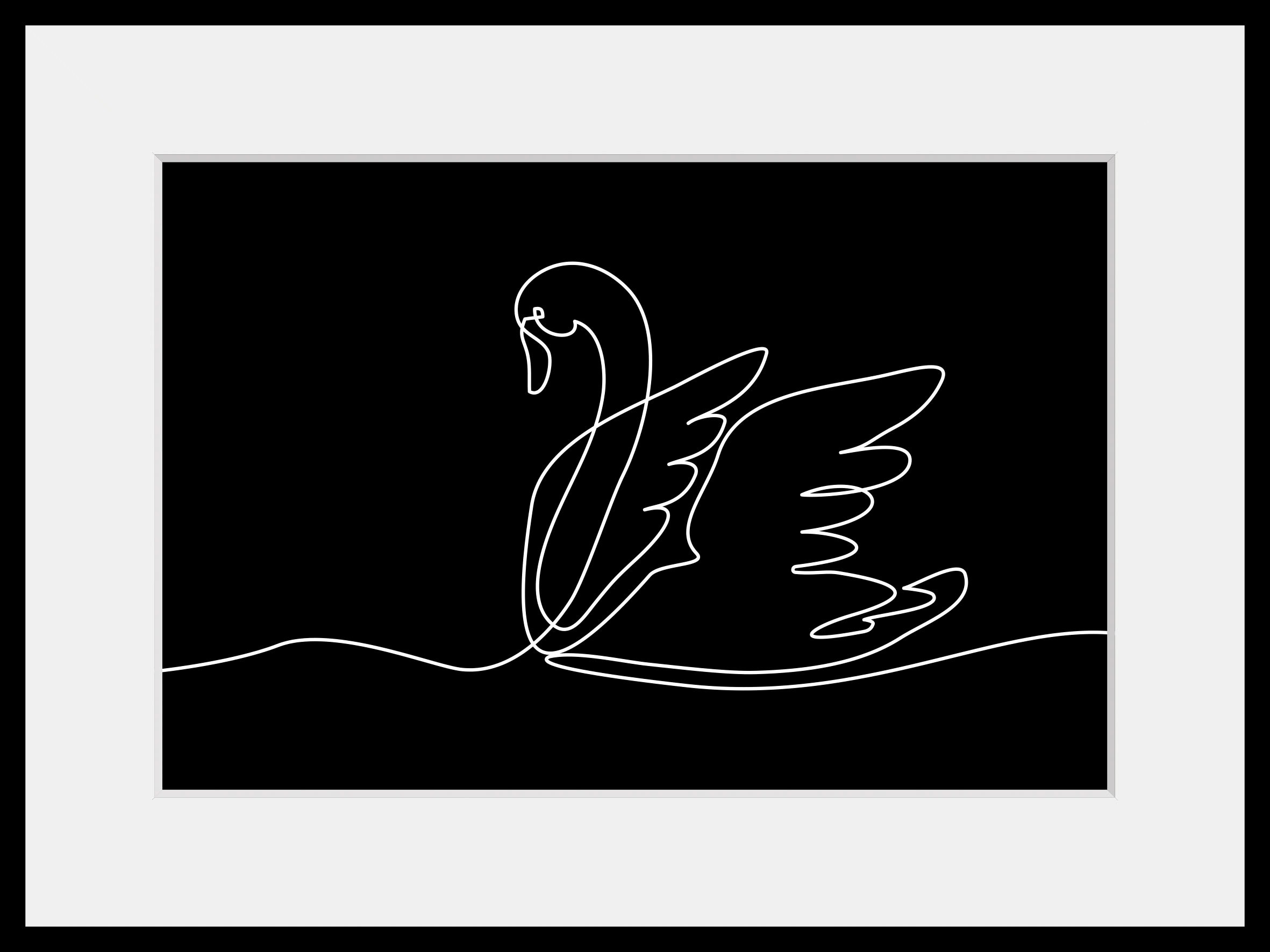queence Bild »Alessa«, Schwarz-Weiß-Kunst-Modern-Schwanen Bilder, (1 St.), günstig online kaufen