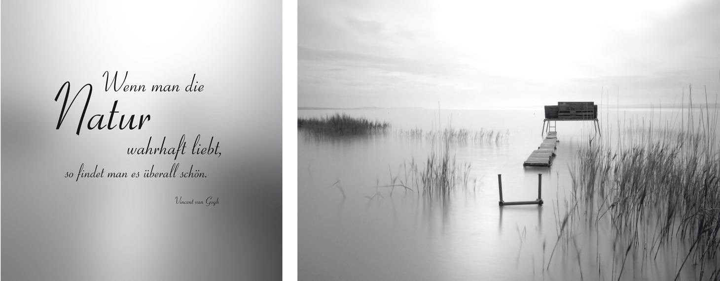 queence Leinwandbild »Natur überall«, Gräser-Steg-Seebilder-Seelandschaft-M günstig online kaufen