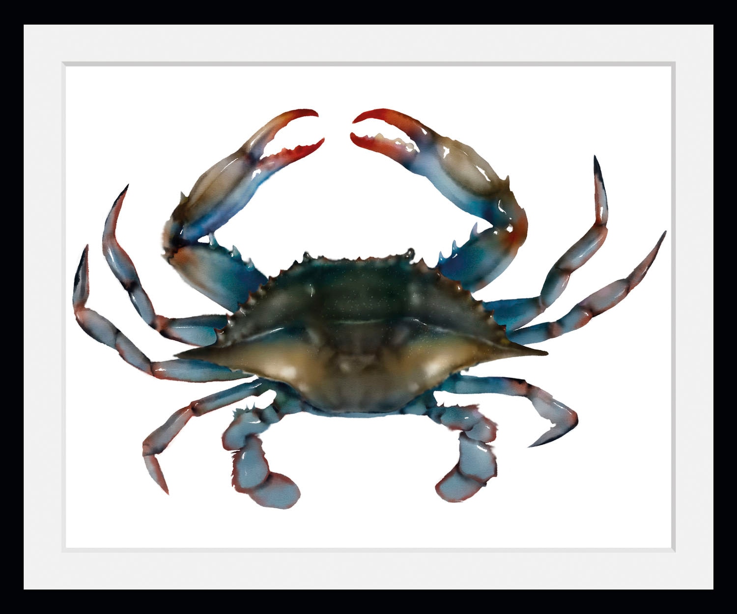 queence Bild »Krabbe«, Meer-Wassertiere-Kunst, (1 St.), HD Premium Poster-D günstig online kaufen
