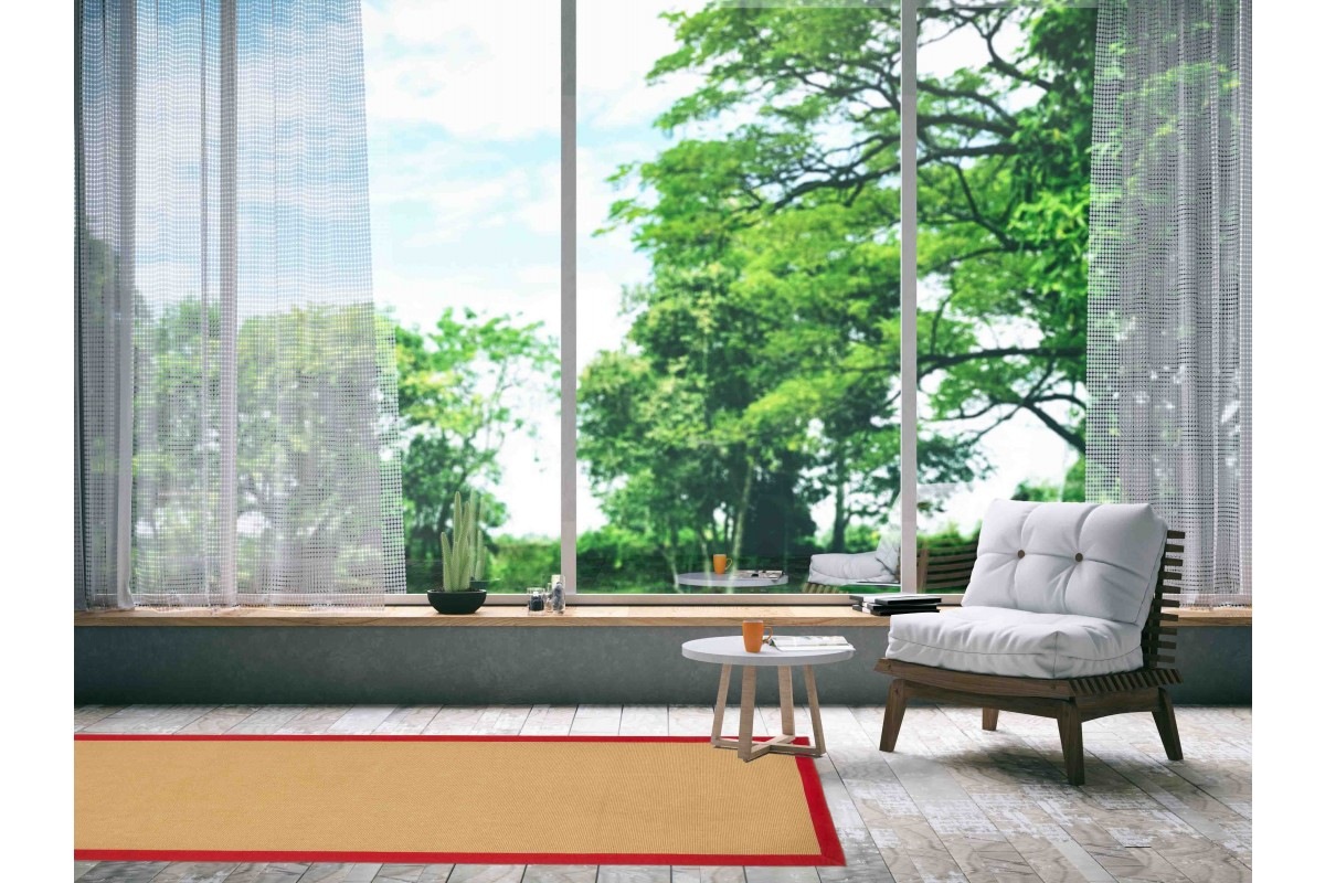 carpetfine Läufer »Sisal«, rechteckig, 5 mm Höhe, mit farbiger Bordüre, Ant günstig online kaufen
