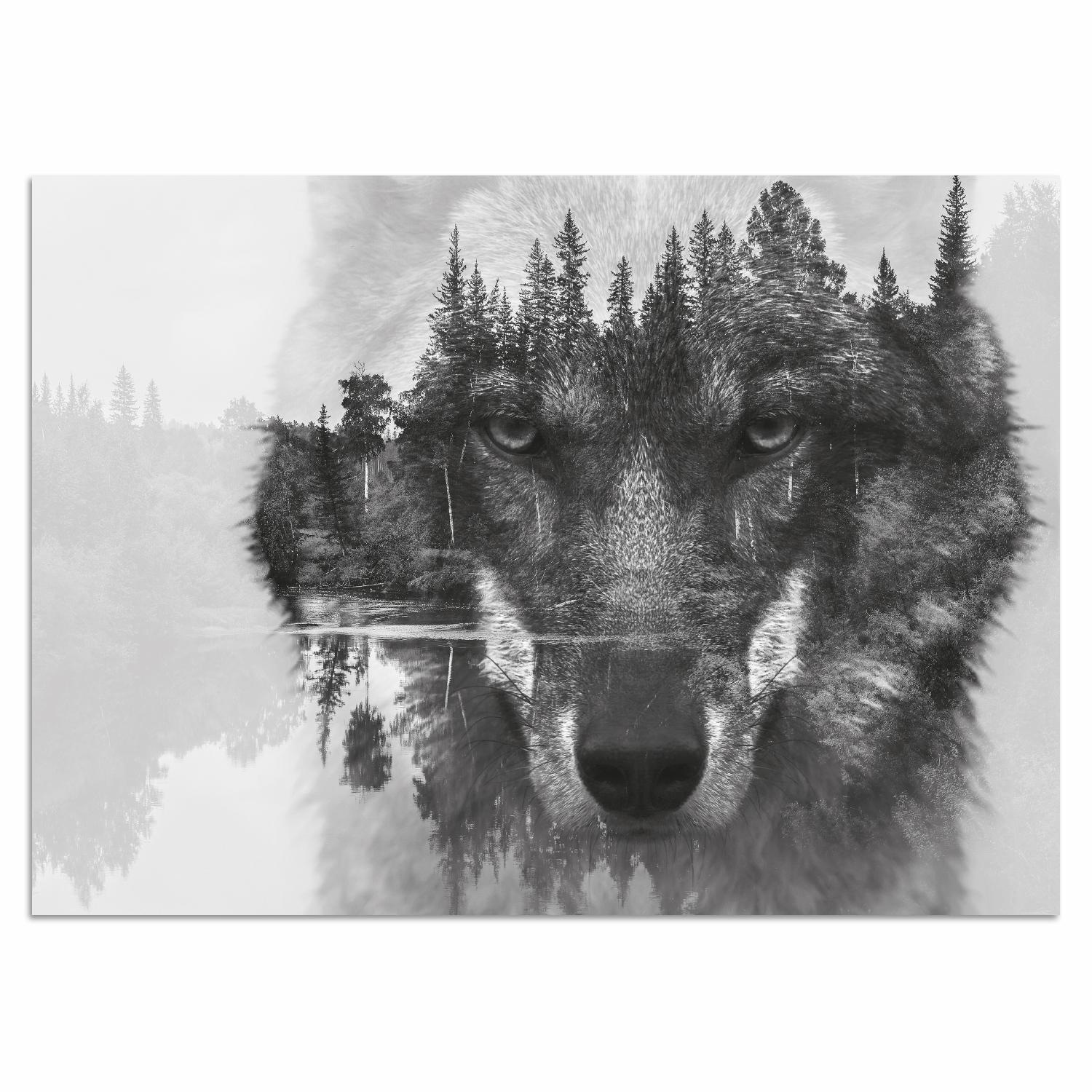Home affaire Acrylglasbild »Wolf«, Schwarz-Weiß-Tiere-Wolfbilder-Wildtiere- günstig online kaufen