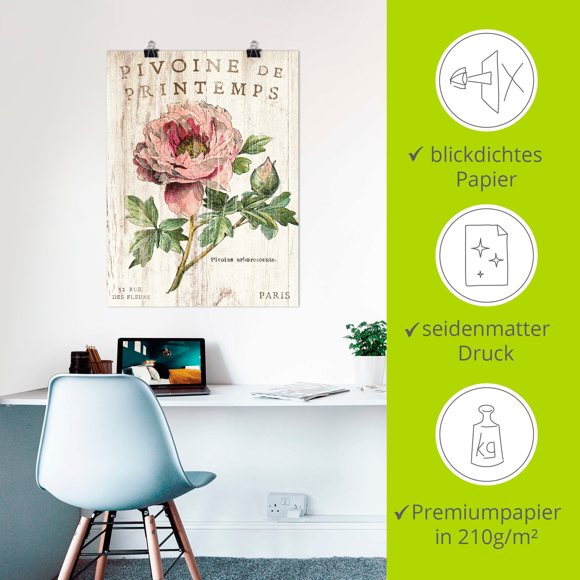 Artland Poster »Pfingstrose« Blumen 1 Stk. tlg. ohne Rahmen