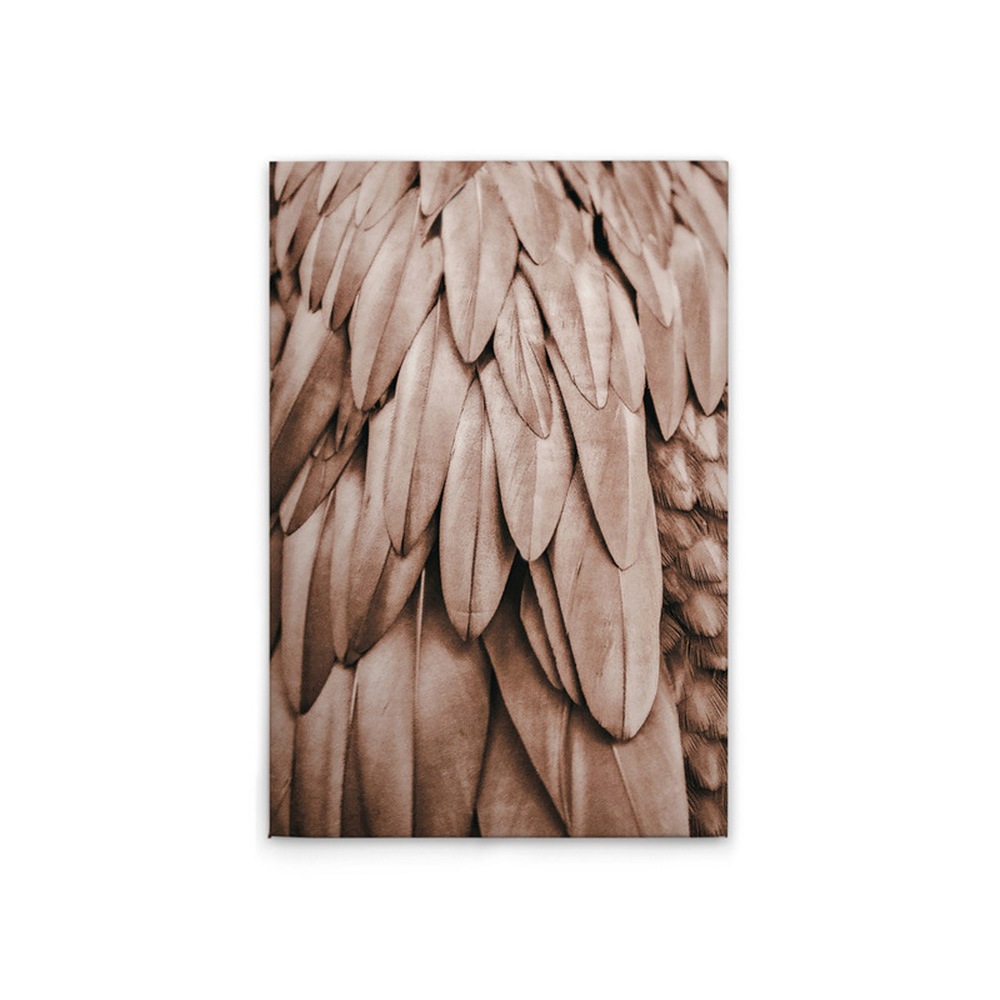 A.S. Création Leinwandbild »Feathers 1 - Wandbild Rosa Beige Keilrahmen Kun günstig online kaufen