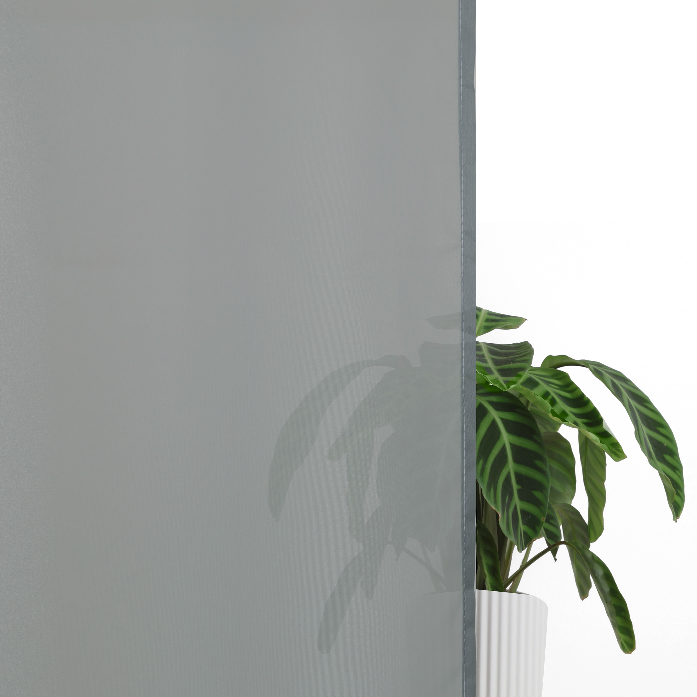 OTTO home Gardine »Nivva« Ösen 2 Stk. tlg. Transparent, Ösen- Aufhängung, Pflegeleicht, 2er Set