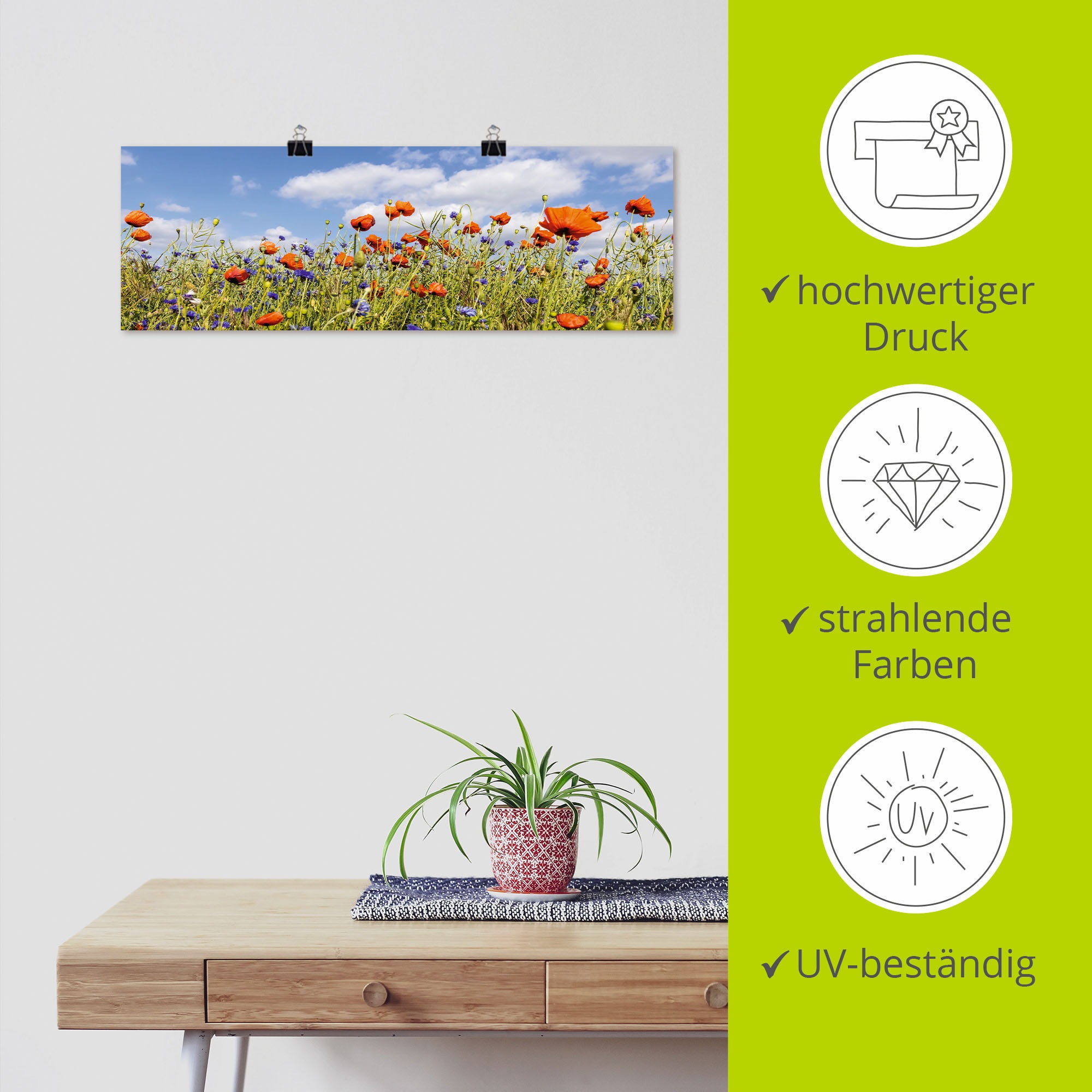 Artland Wandbild »Mohnblumenfeld mit Kornblumen«, Blumenwiese, (1 St.), als Alubild, Leinwandbild, Wandaufkleber oder Poster in versch. Größen