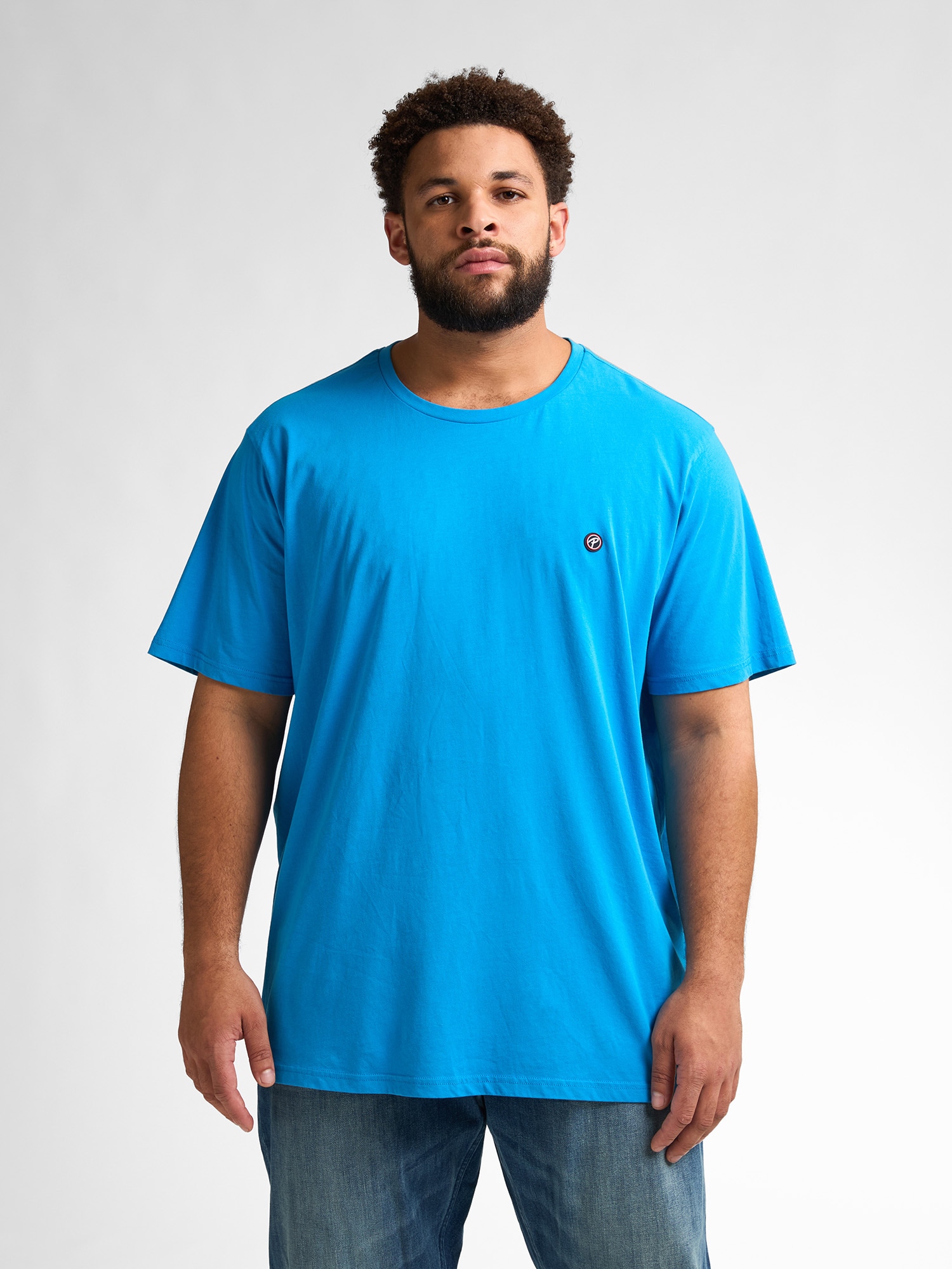 Petrol Industries Rundhalsshirt mit Logo Stickerei