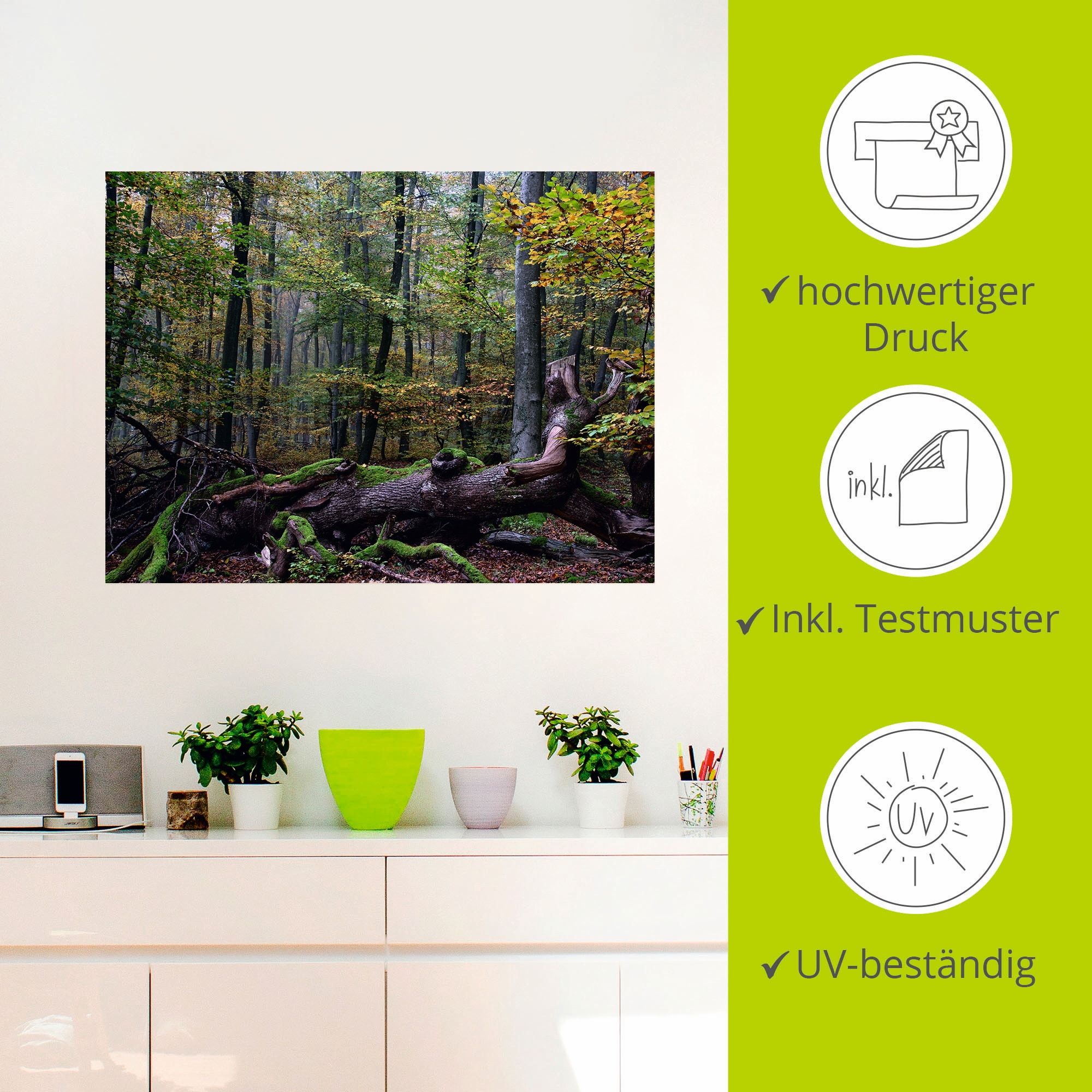 Artland Wandfolie »Ein alter Riese, neuer Lebensraum«, Wald, (1 St.), selbstklebend