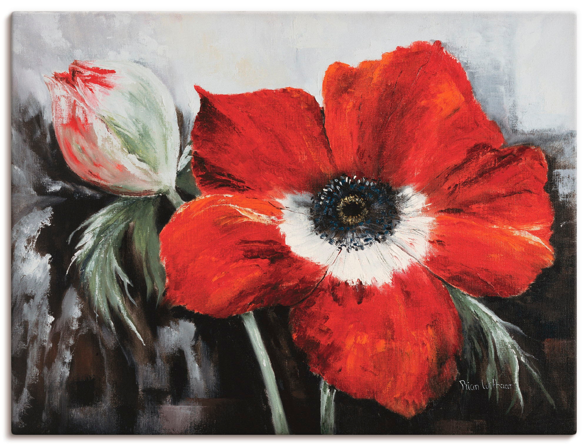 Artland Leinwandbild »Mohnblumen in voller Blüte«, Blumen, (1 St.), auf Keilrahmen gespannt