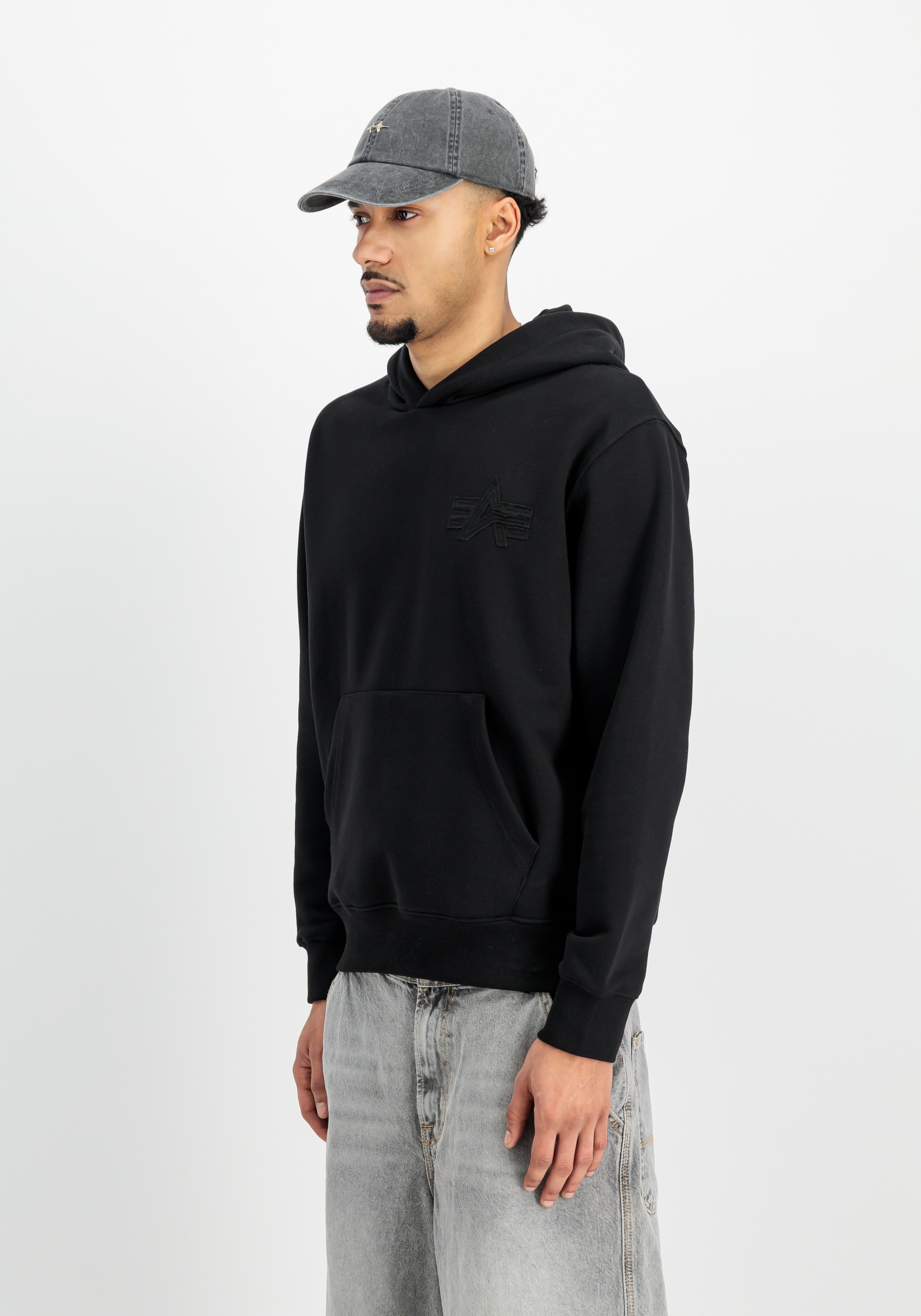 Alpha Industries Hoodie »Coach Hoodie Backprint «