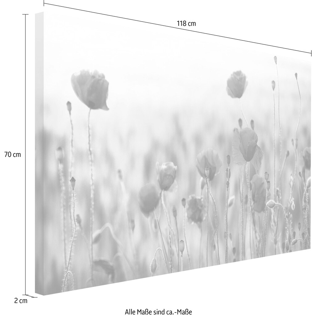 Reinders! Holzbild »Deco Block 70x118 Wild Poppies«