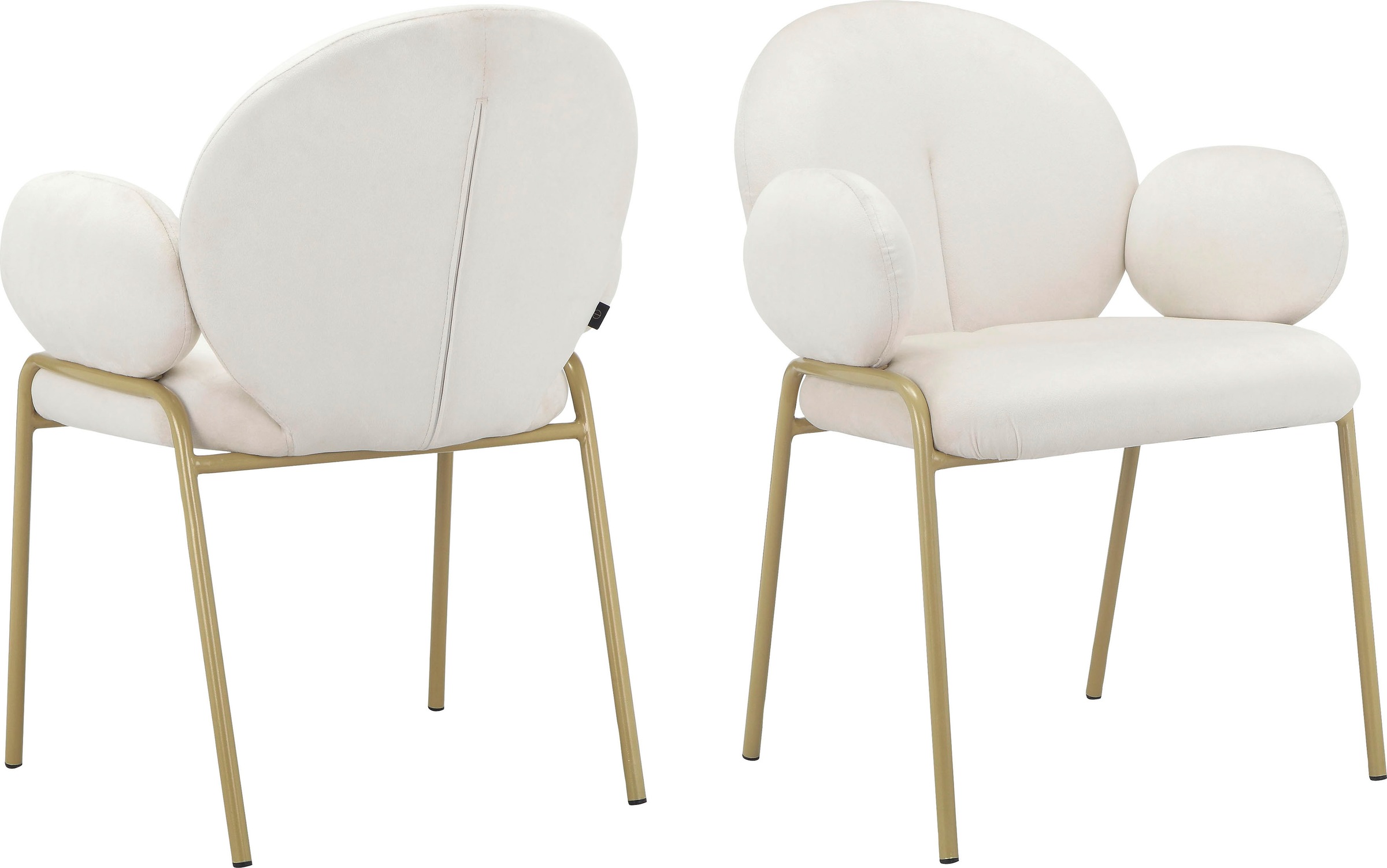 Leonique Esszimmerstuhl »Albie« () 2 Stk.Sitz und Rücken gepolstert, Gestel günstig online kaufen