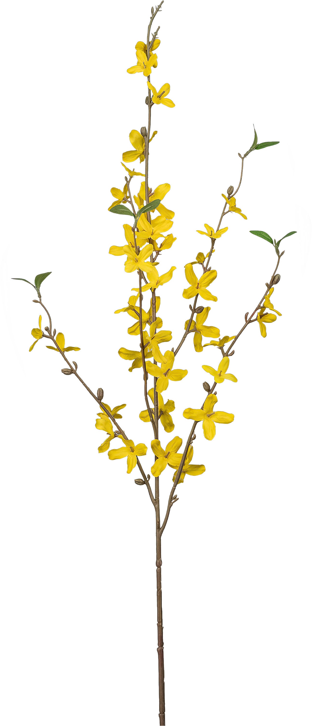 Creativ green Kunstblume »Forsythie«, mit detailgetreuen Blüten