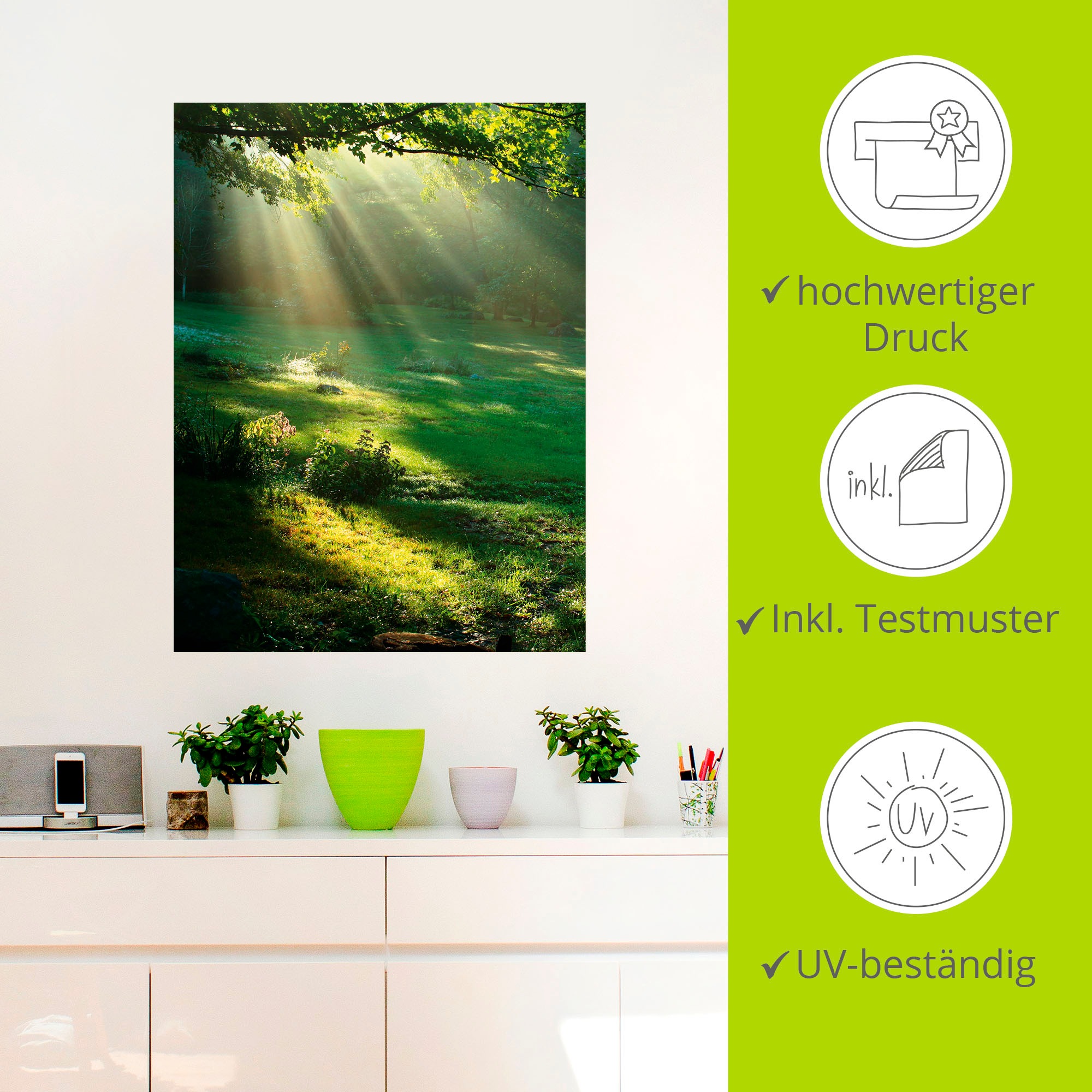 Artland Wandbild »Lichtkegel«, Wald, (1 St.), als Alubild, Outdoorbild, Leinwandbild, Poster, Wandaufkleber