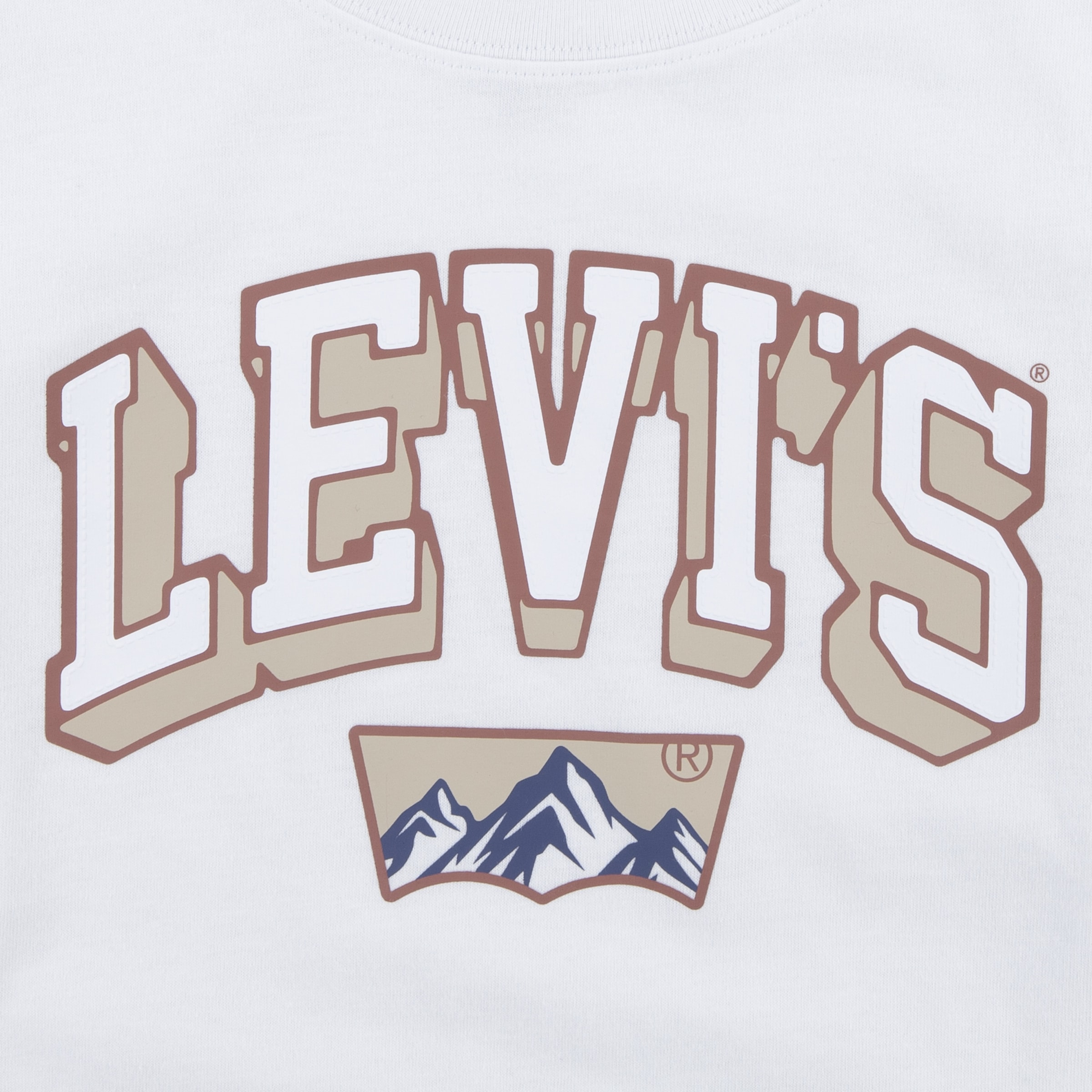 Levi's® Kids Langarmshirt »LVB ACADEMIC ADVENTURER LS TEE«, mit großem Logoprint, aus Baumwolle - for Boys