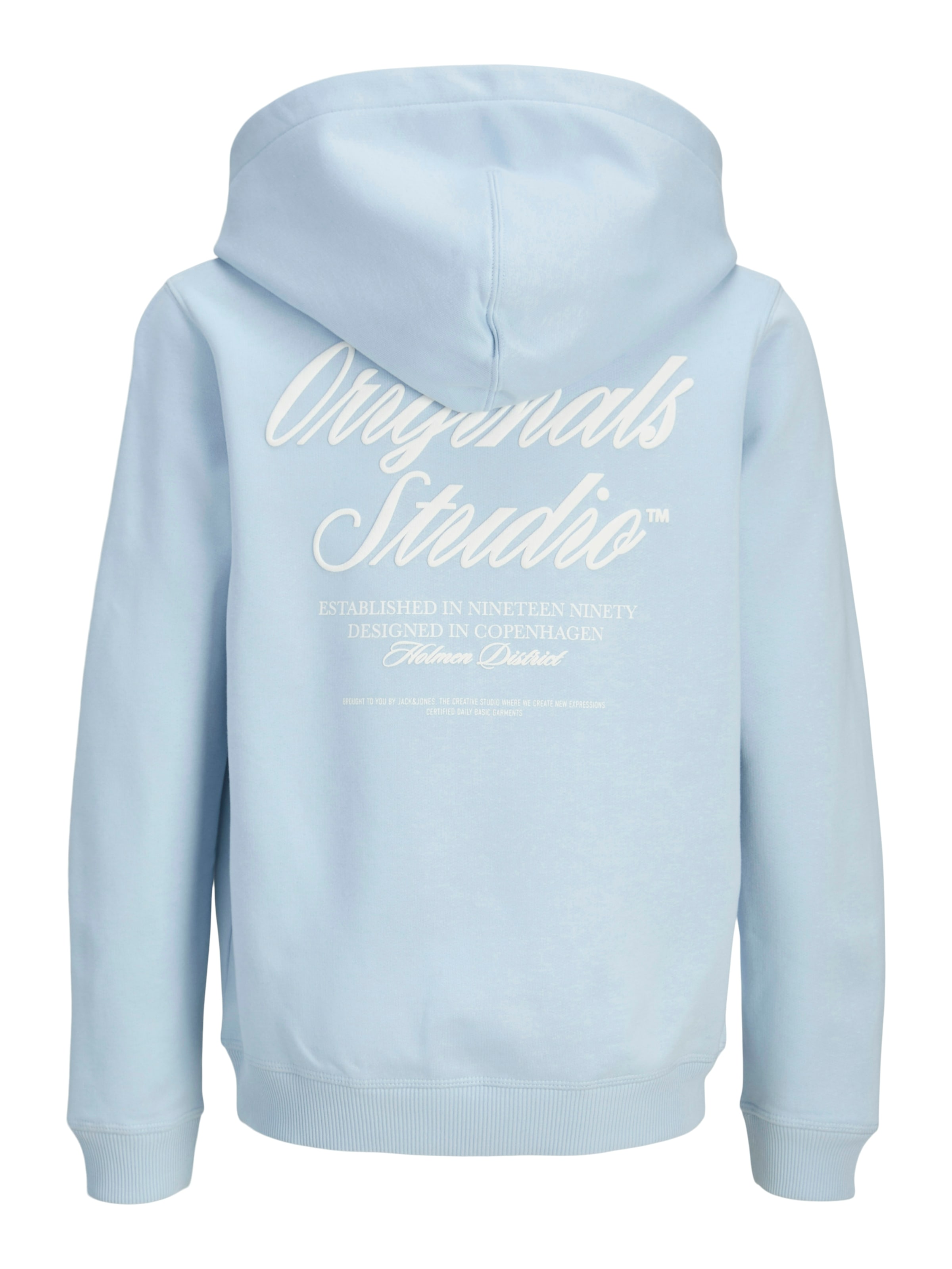 Jack & Jones Junior Kapuzensweatshirt »JORNORREBRO TYPO BACK SWEAT HOOD SN JNR«