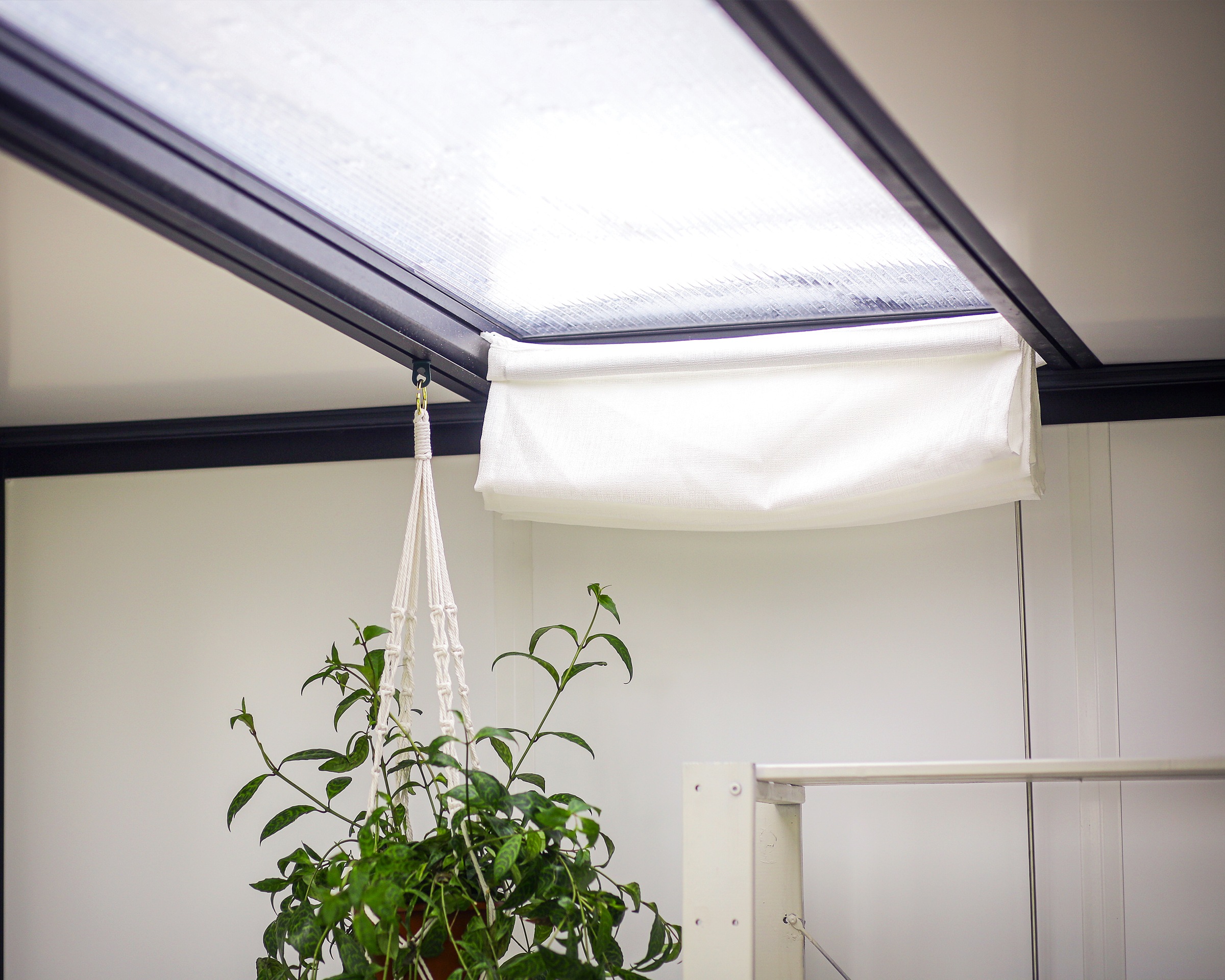 Palram - Canopia Gartenhaus »Copenhagen Garden Studio« Hinterhof-Büro-Kit