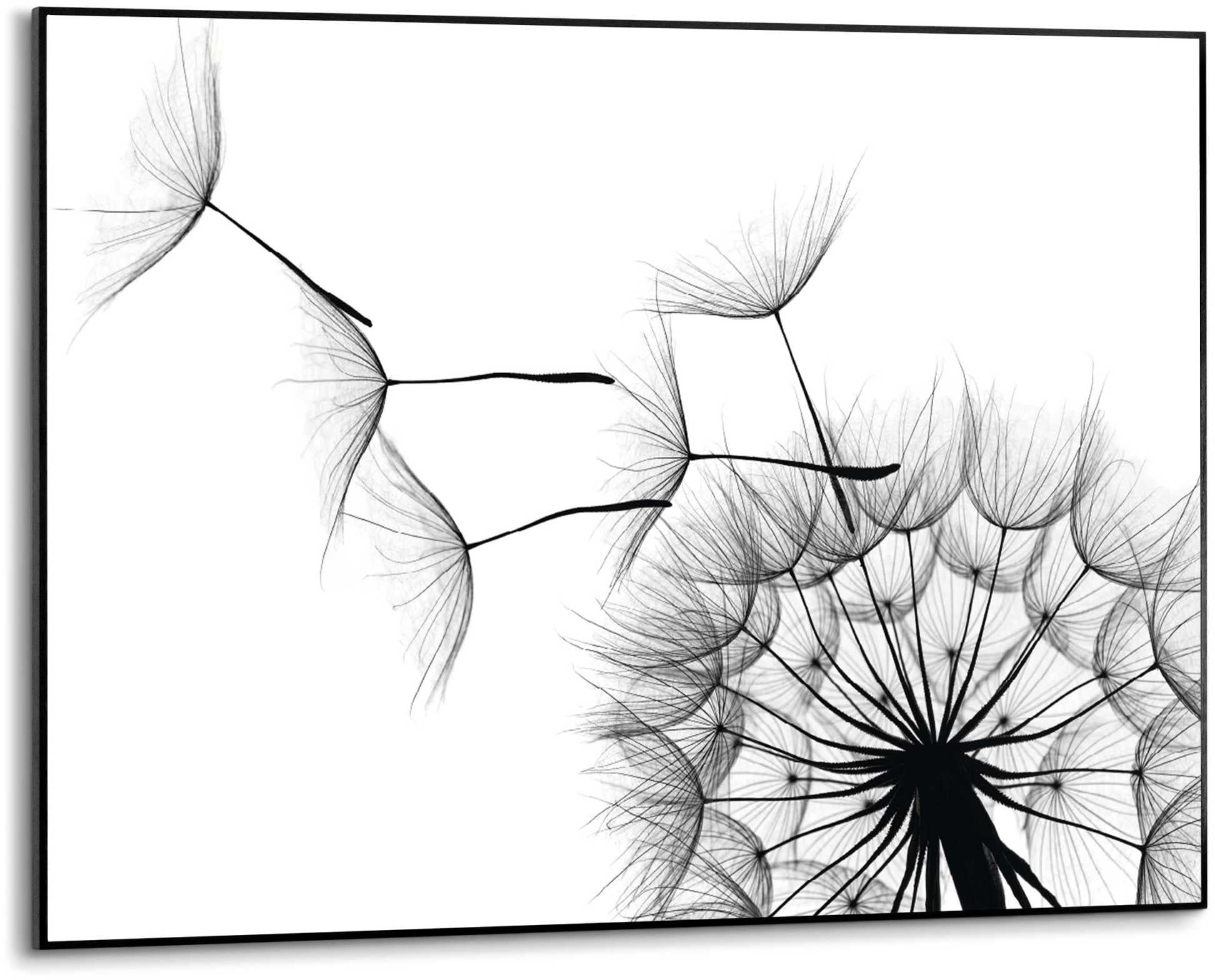 Reinders! Wandbild »Slim Frame Black 50x70 Dandelion« günstig online kaufen