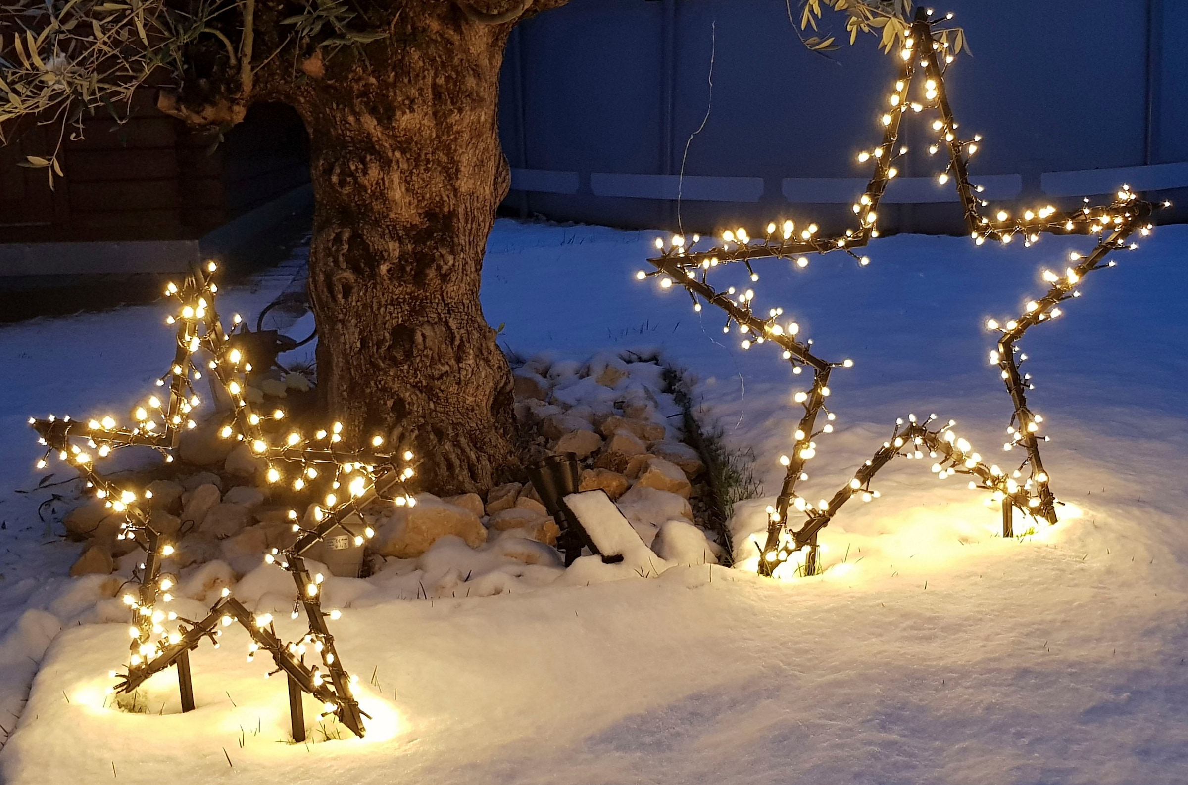 my home LED Stern »Caden, Weihnachtsstern, Weihnachtsdeko mit 150 LEDs«, Gartenstecker mit LED-Beleuchtung, Ø 60 cm
