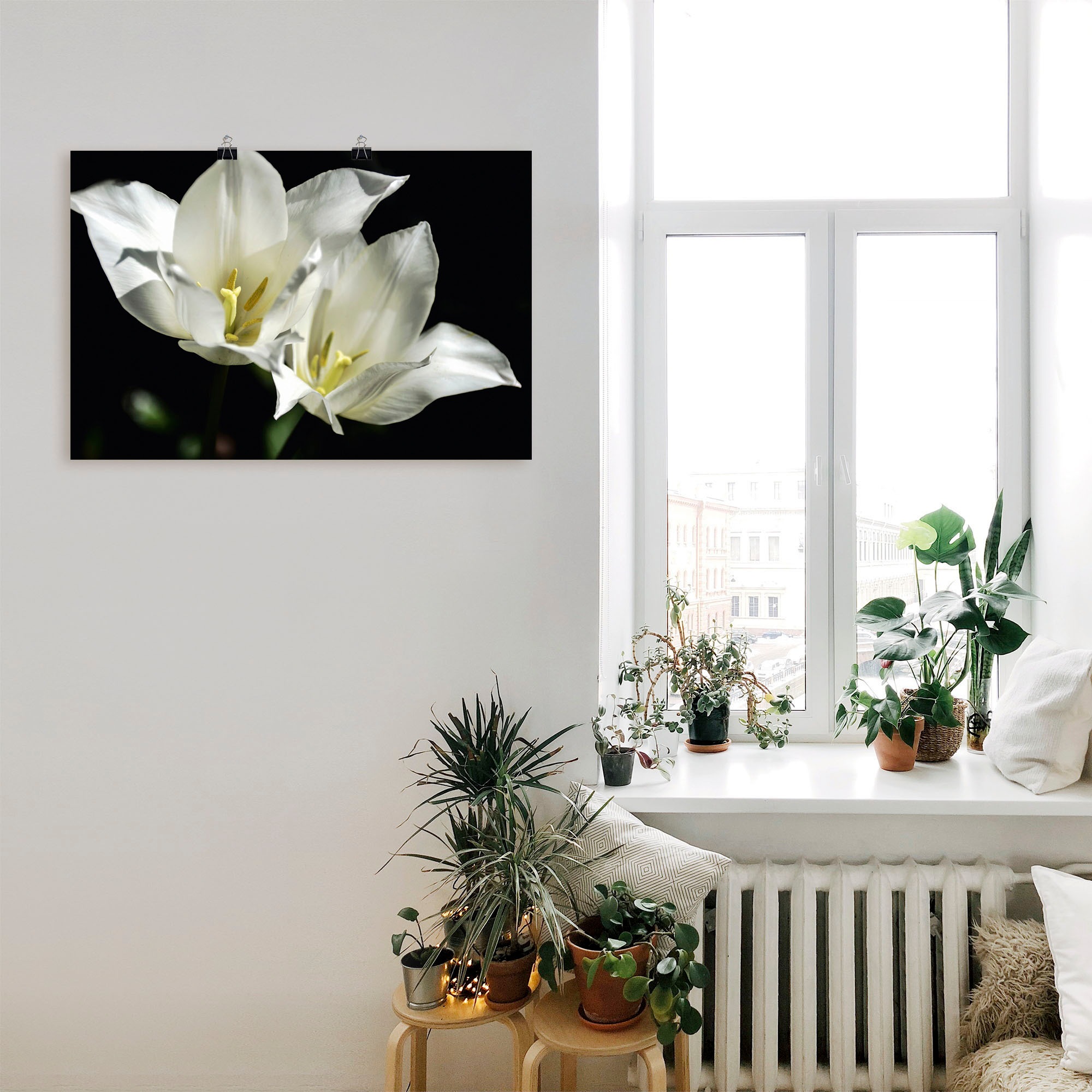 Artland Wandbild »Tulpen - weiß auf schwarz«, Blumenbilder, (1 St.), als Alubild, Leinwandbild, Wandaufkleber oder Poster in versch. Größen